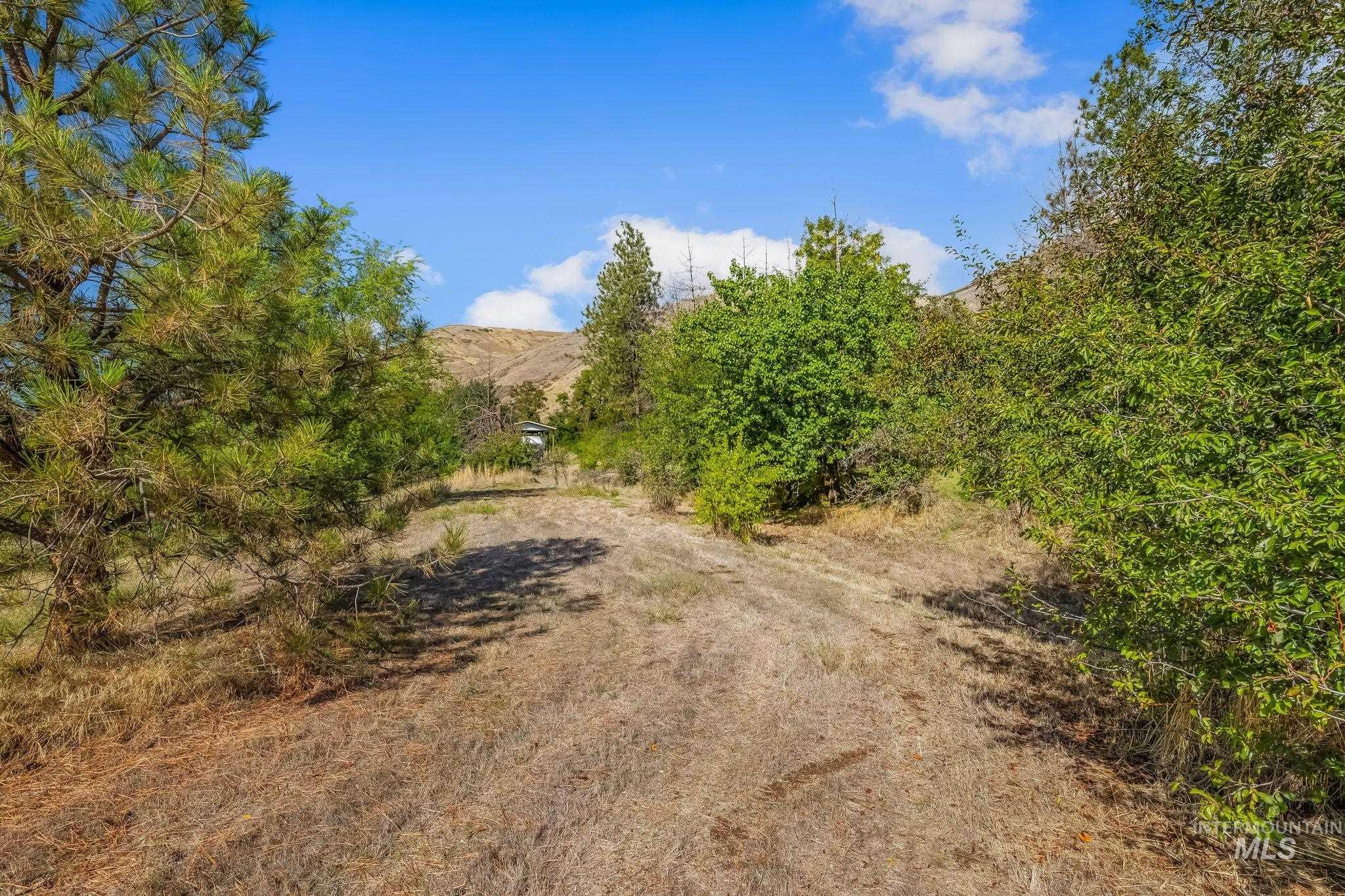 22116 Highway 12, Juliaetta, Idaho 83535, Land For Sale, Price $425,000, 99001195
