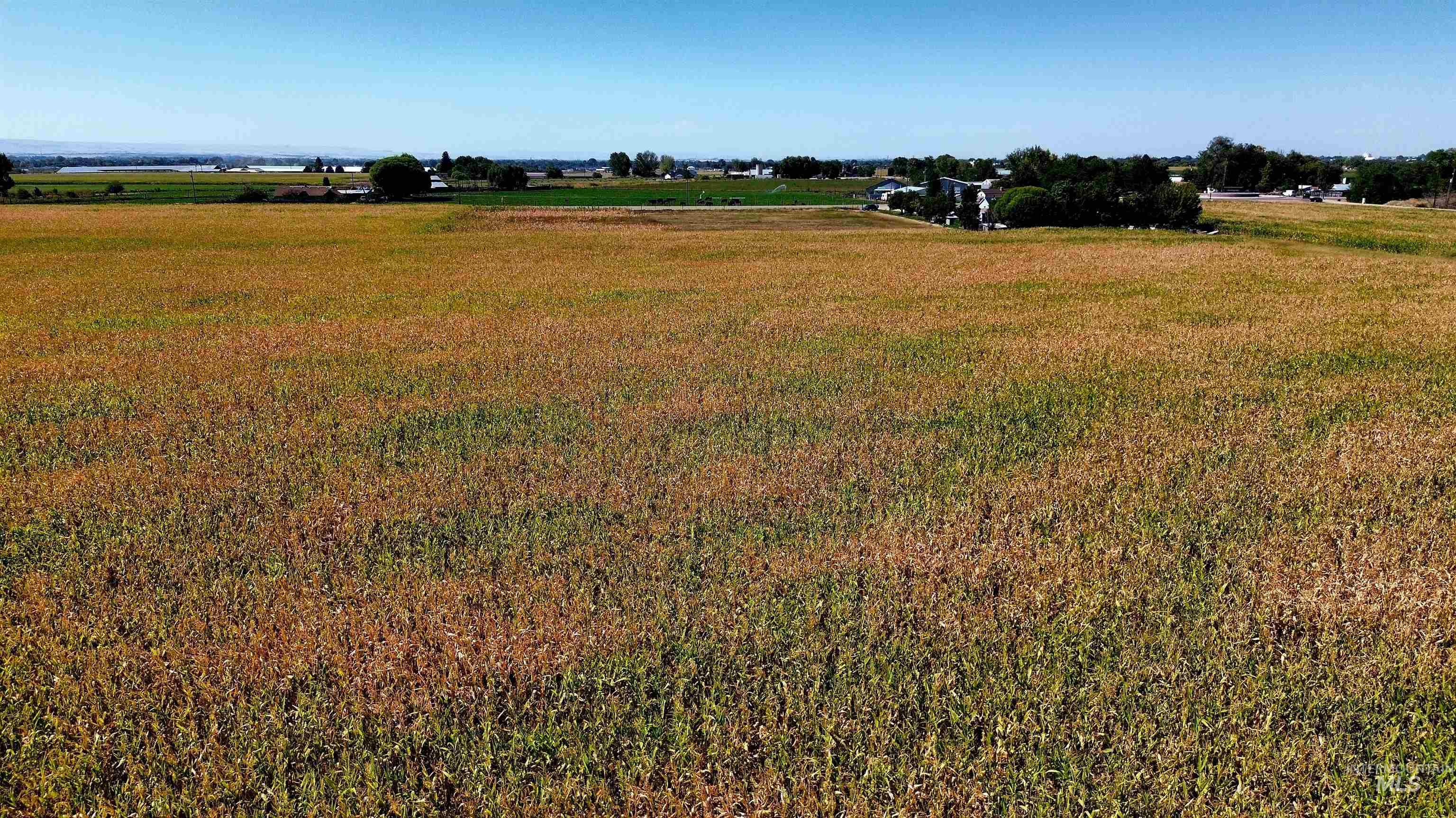 0 Amity Ave, Nampa, Idaho 83687, Land For Sale, Price $2,109,250,MLS 99001239