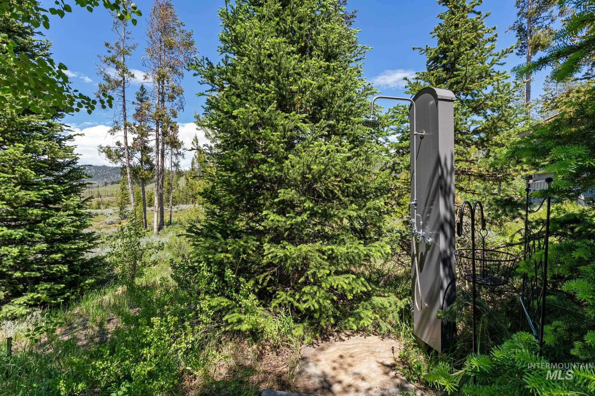 2425 Cow Camp Rd, Stanley, Idaho 83278, 5 Bedrooms, 5 Bathrooms, Residential For Sale, Price $4,800,000,MLS 99001245