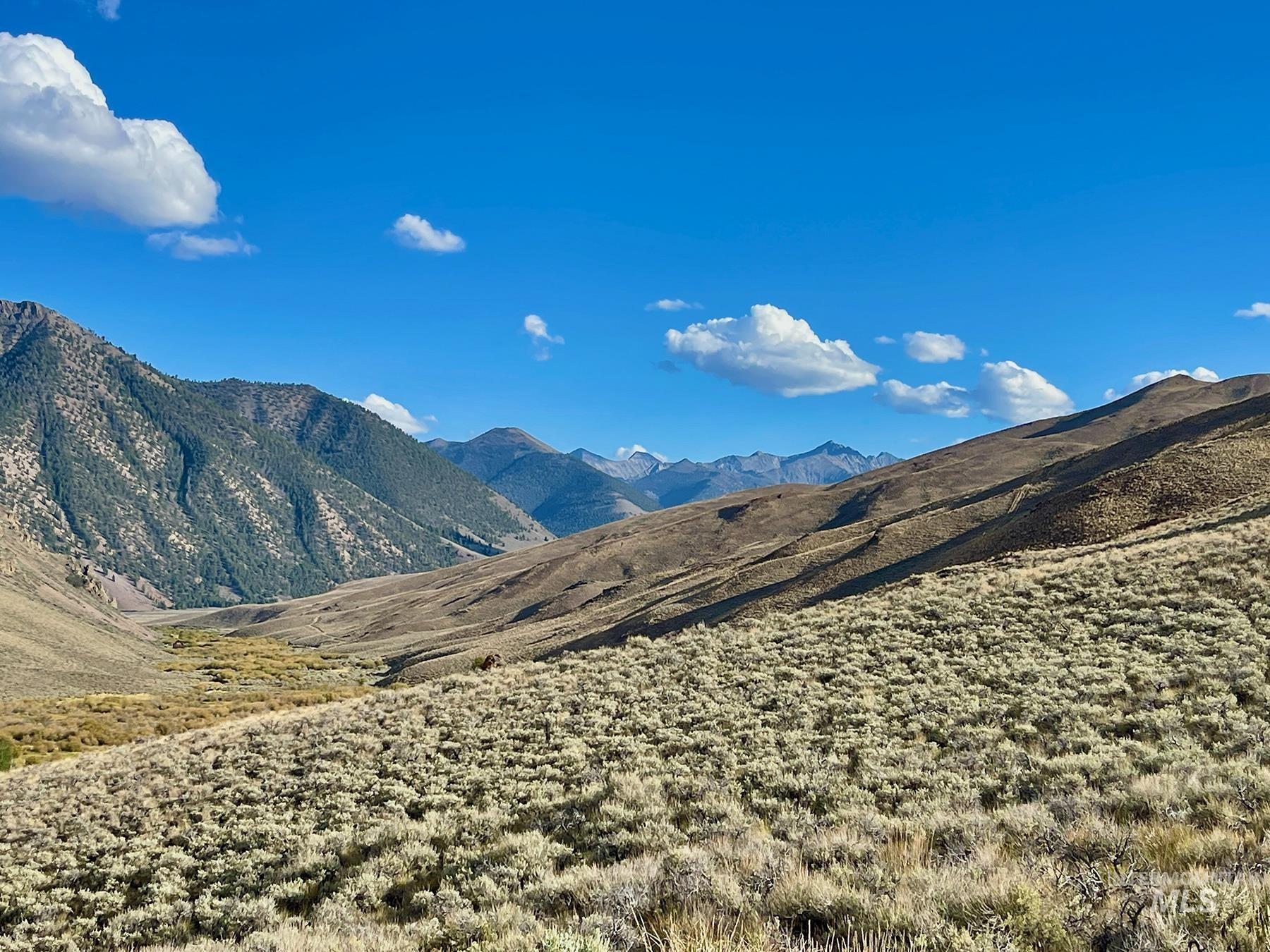 4777 Twin Bridges, Mackay, Idaho 83251, 1 Bedroom, 1.5 Bathrooms, Residential For Sale, Price $1,095,000, 99001254