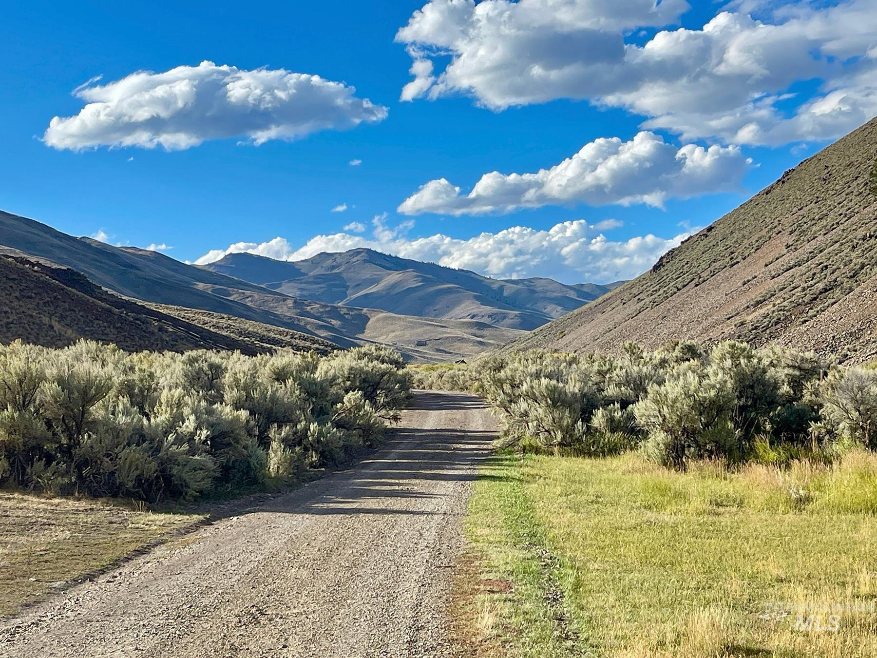 4777 Twin Bridges, Mackay, Idaho 83251, 1 Bedroom, 1.5 Bathrooms, Residential For Sale, Price $1,095,000, 99001254