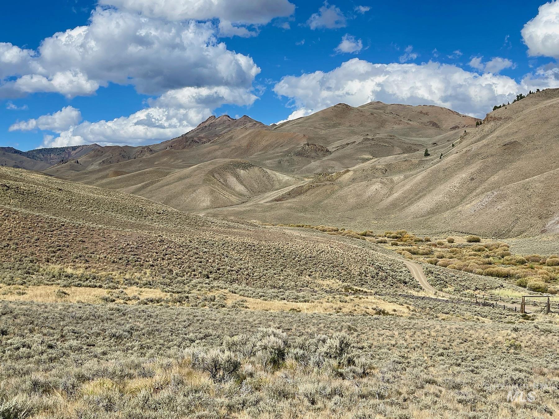 4777 Twin Bridges, Mackay, Idaho 83251, 1 Bedroom, 1.5 Bathrooms, Residential For Sale, Price $1,095,000, 99001254