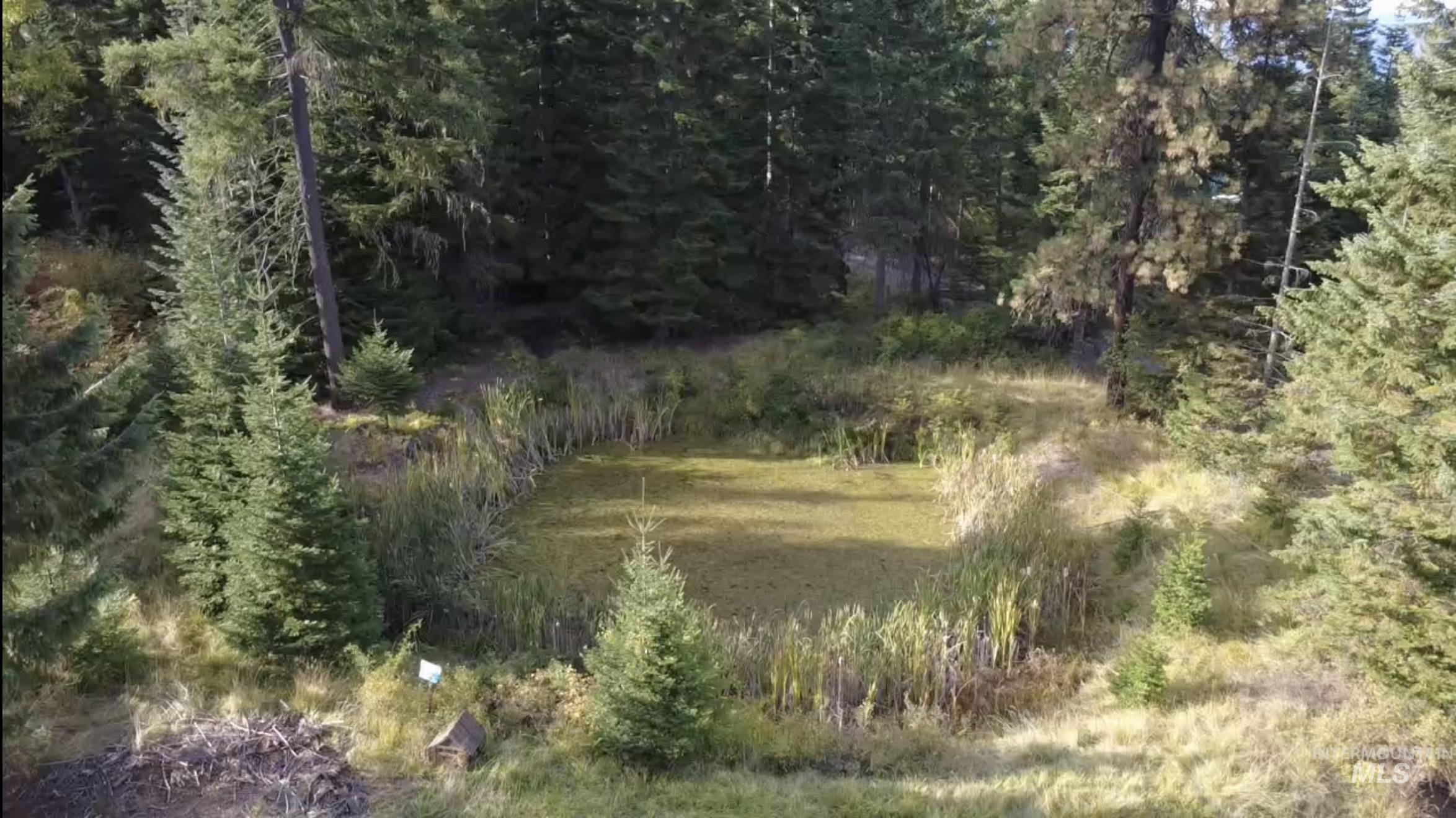 1464 CEDAR RIDGE DR, Orofino, Idaho 83544, 3 Bedrooms, 3 Bathrooms, Residential For Sale, Price $650,000,MLS 99001257
