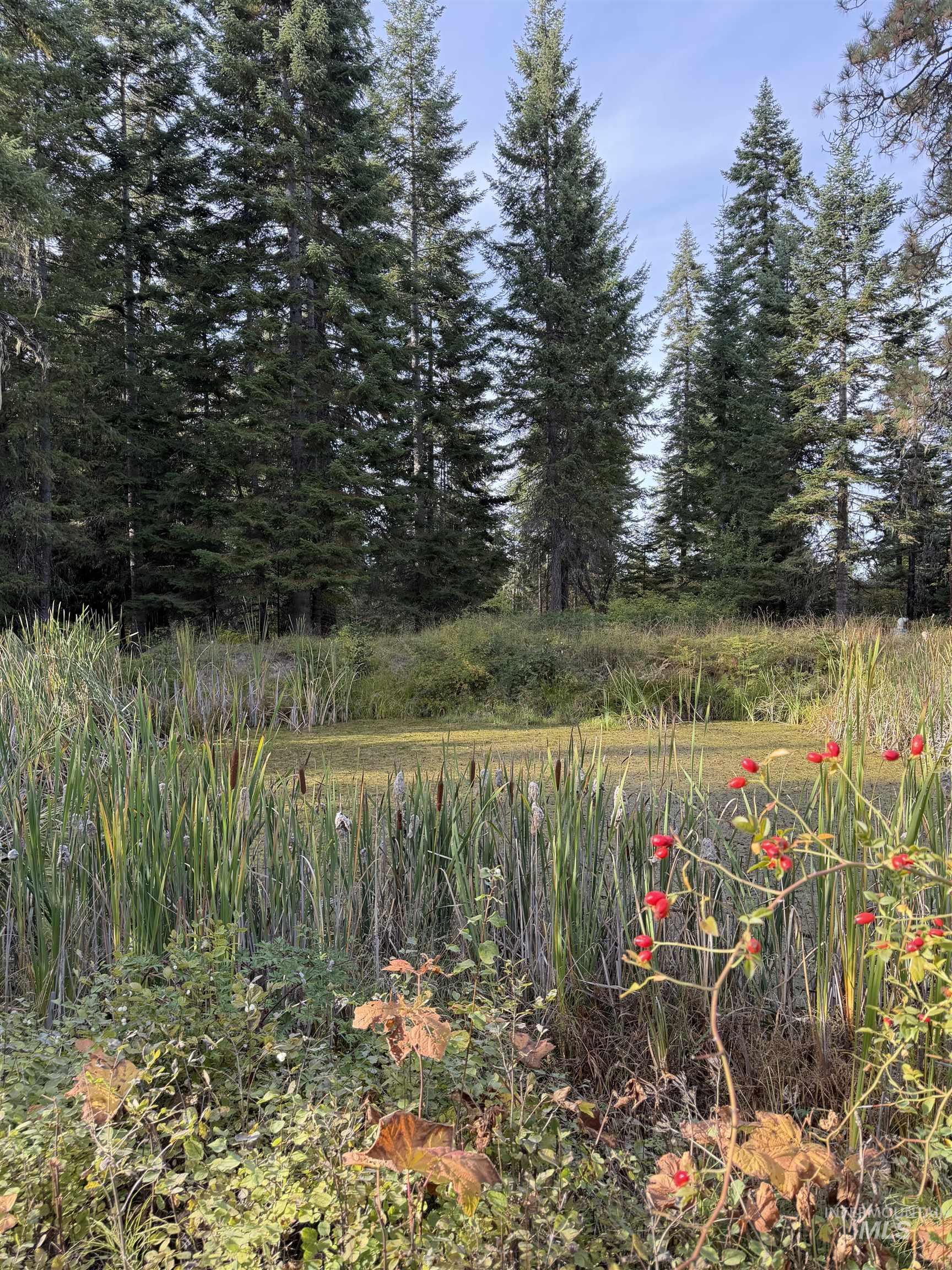 1464 CEDAR RIDGE DR, Orofino, Idaho 83544, 3 Bedrooms, 3 Bathrooms, Residential For Sale, Price $650,000,MLS 99001257