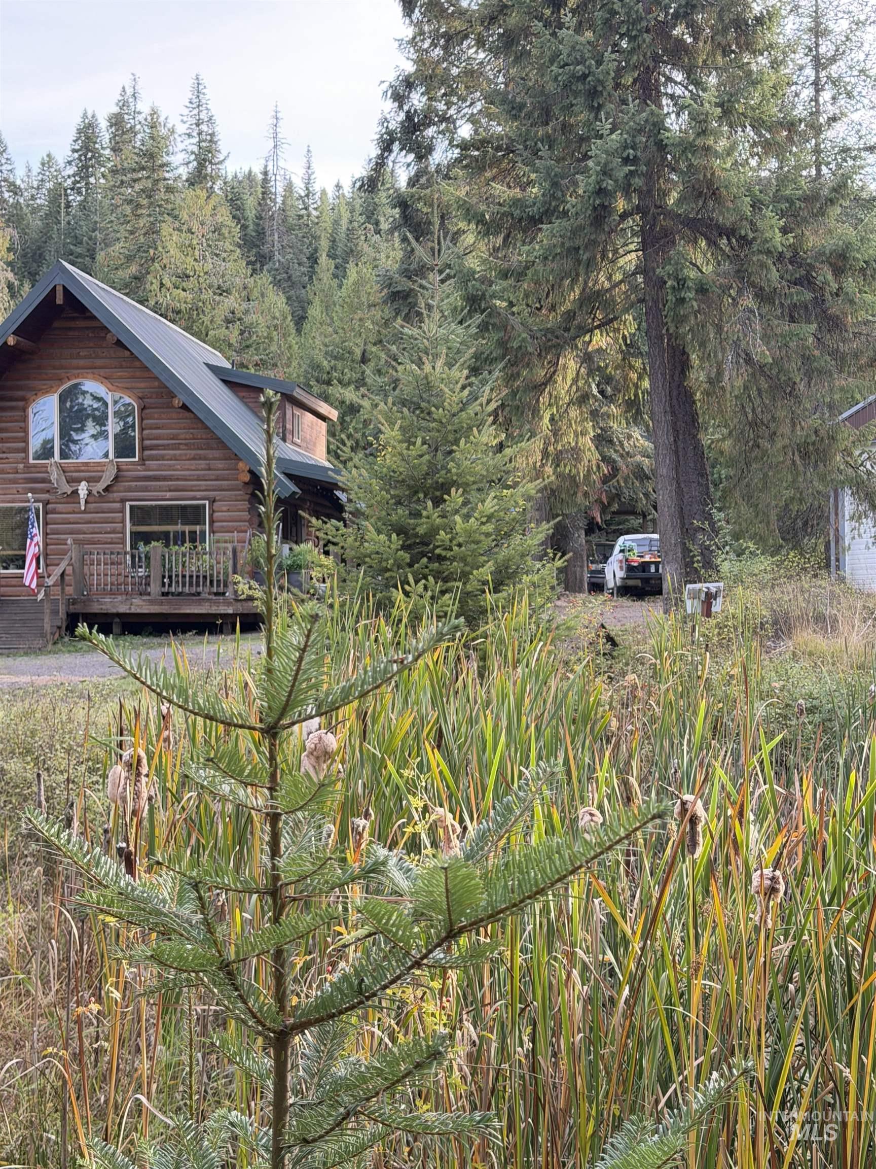 1464 CEDAR RIDGE DR, Orofino, Idaho 83544, 3 Bedrooms, 3 Bathrooms, Residential For Sale, Price $650,000,MLS 99001257