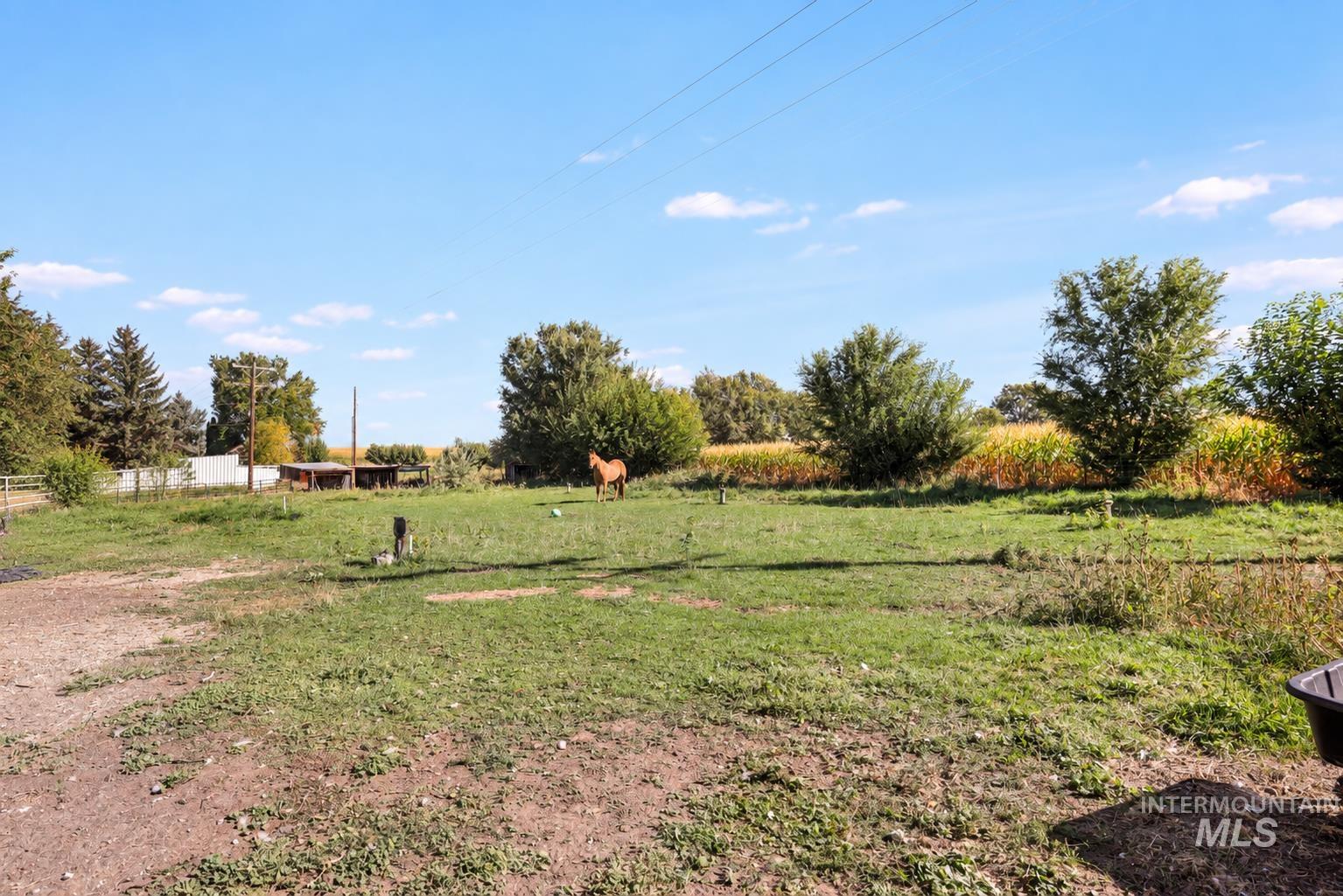 2912 S 1050 E, Hagerman, Idaho 83332, 3 Bedrooms, 1.5 Bathrooms, Residential For Sale, Price $445,000,MLS 99001261
