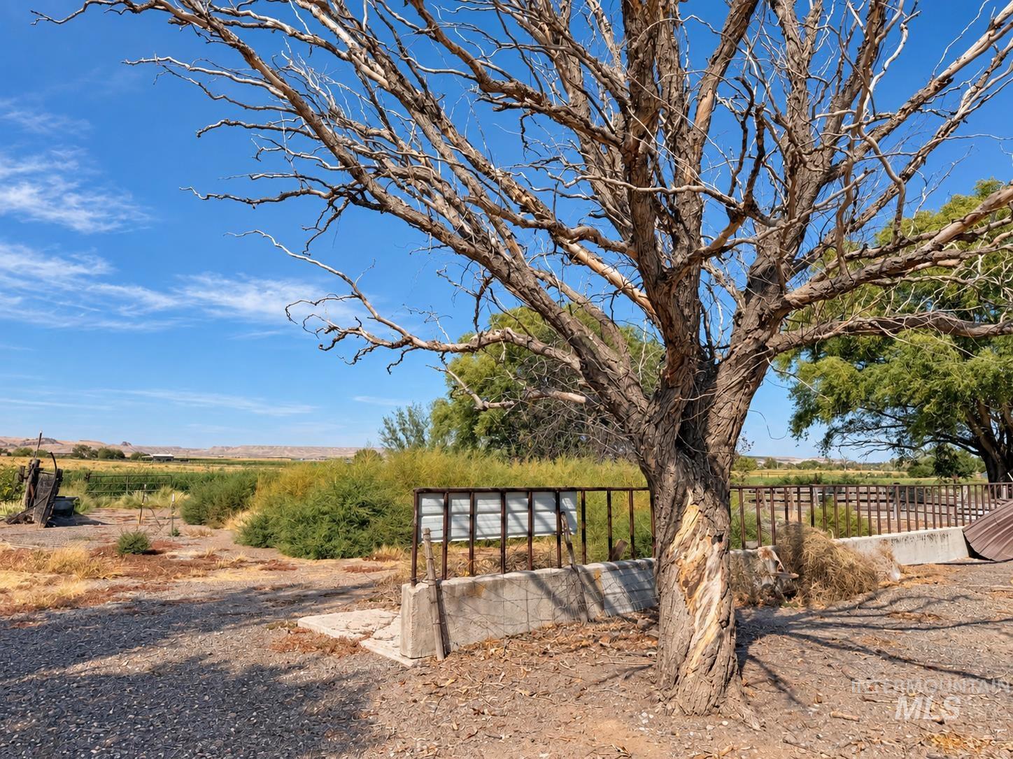 8124 Birmingham Rd, Melba, Idaho 83641, 3 Bedrooms, 2 Bathrooms, Residential For Sale, Price $349,900,MLS 99001294