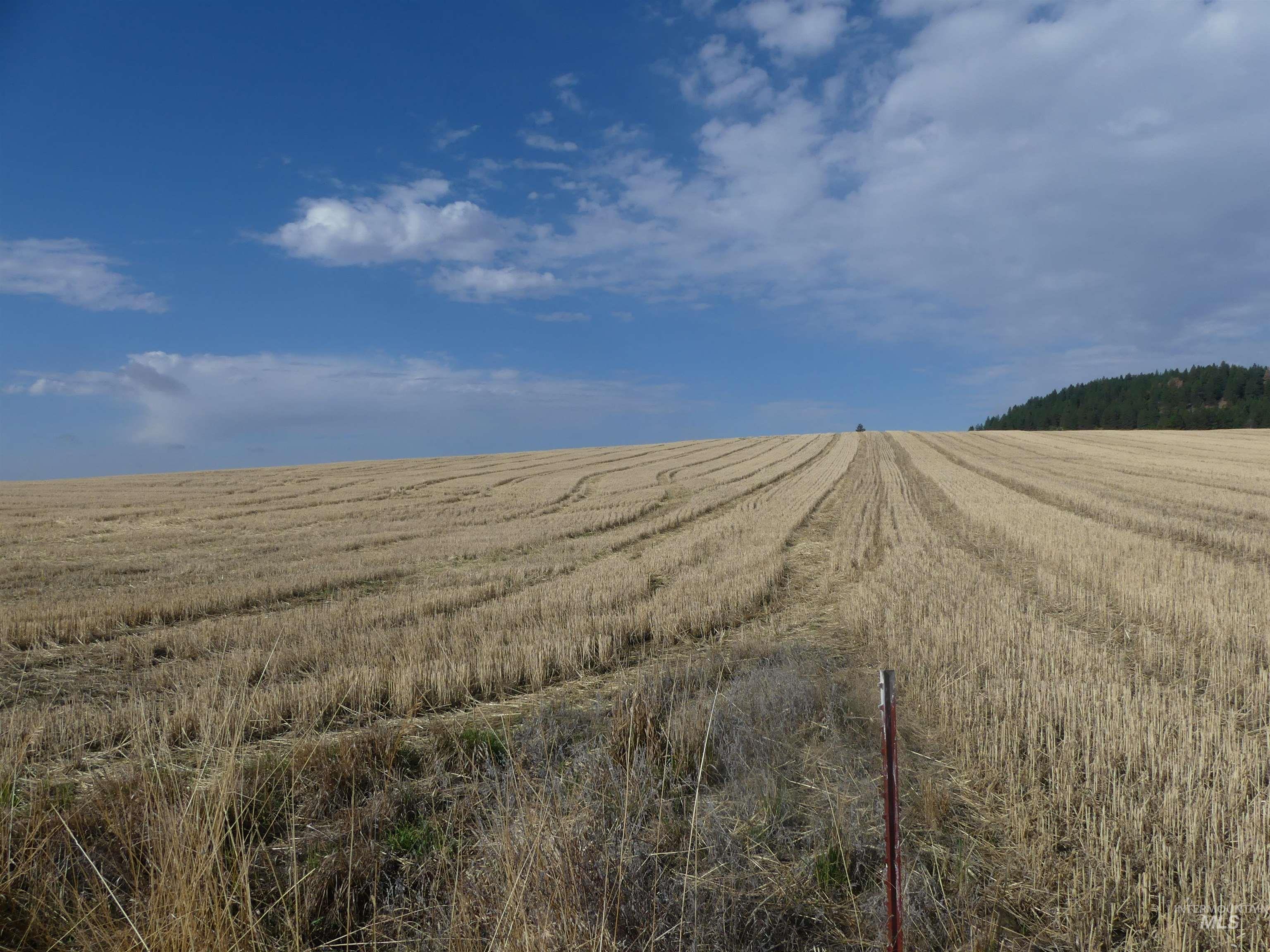 77 Freeman Creek Rd, Kendrick, Idaho 83537, Land For Sale, Price $330,000, 99001311