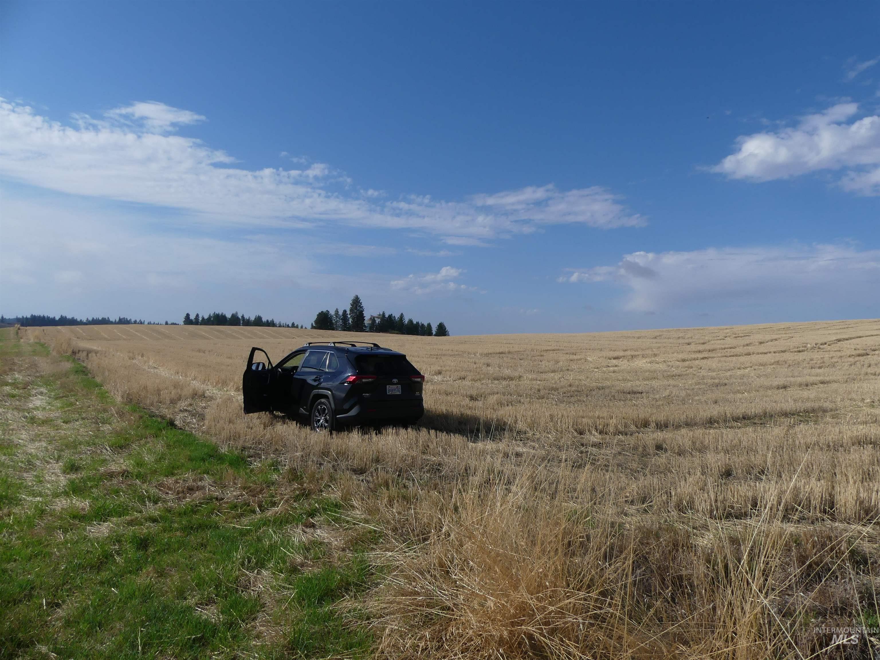 77 Freeman Creek Rd, Kendrick, Idaho 83537, Land For Sale, Price $330,000, 99001311