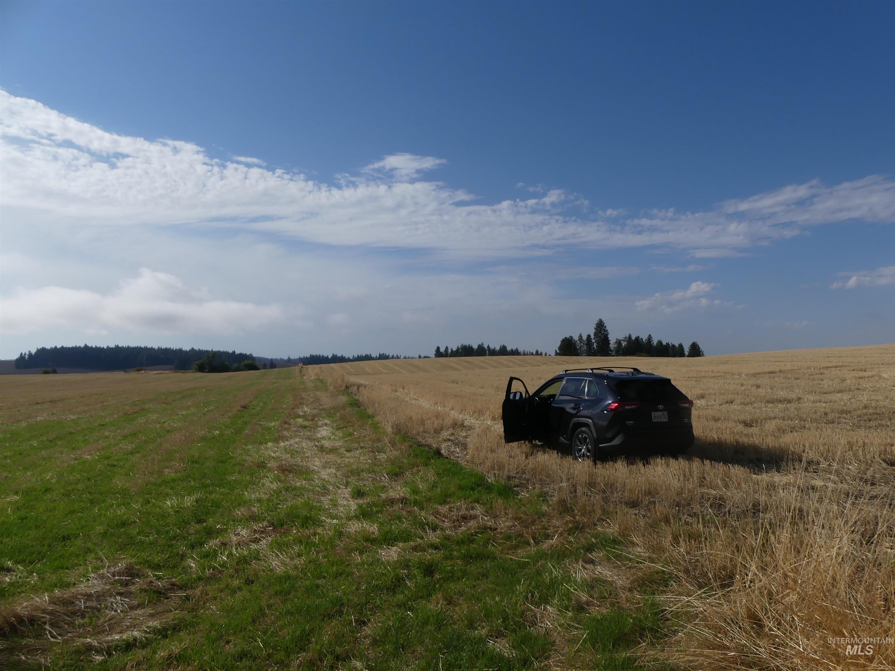 77 Freeman Creek Rd, Kendrick, Idaho 83537, Land For Sale, Price $330,000, 99001311