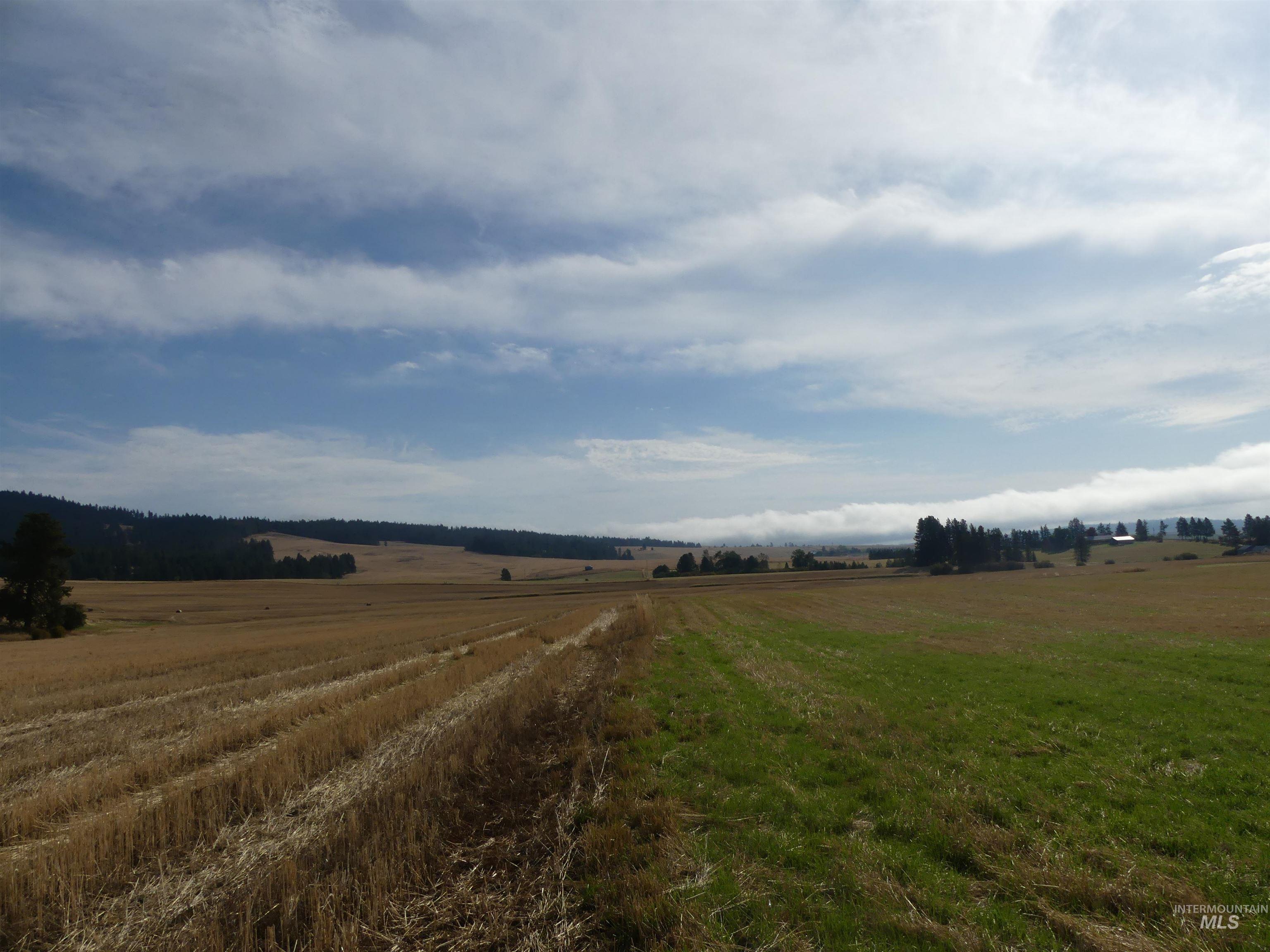 77 Freeman Creek Rd, Kendrick, Idaho 83537, Land For Sale, Price $330,000, 99001311