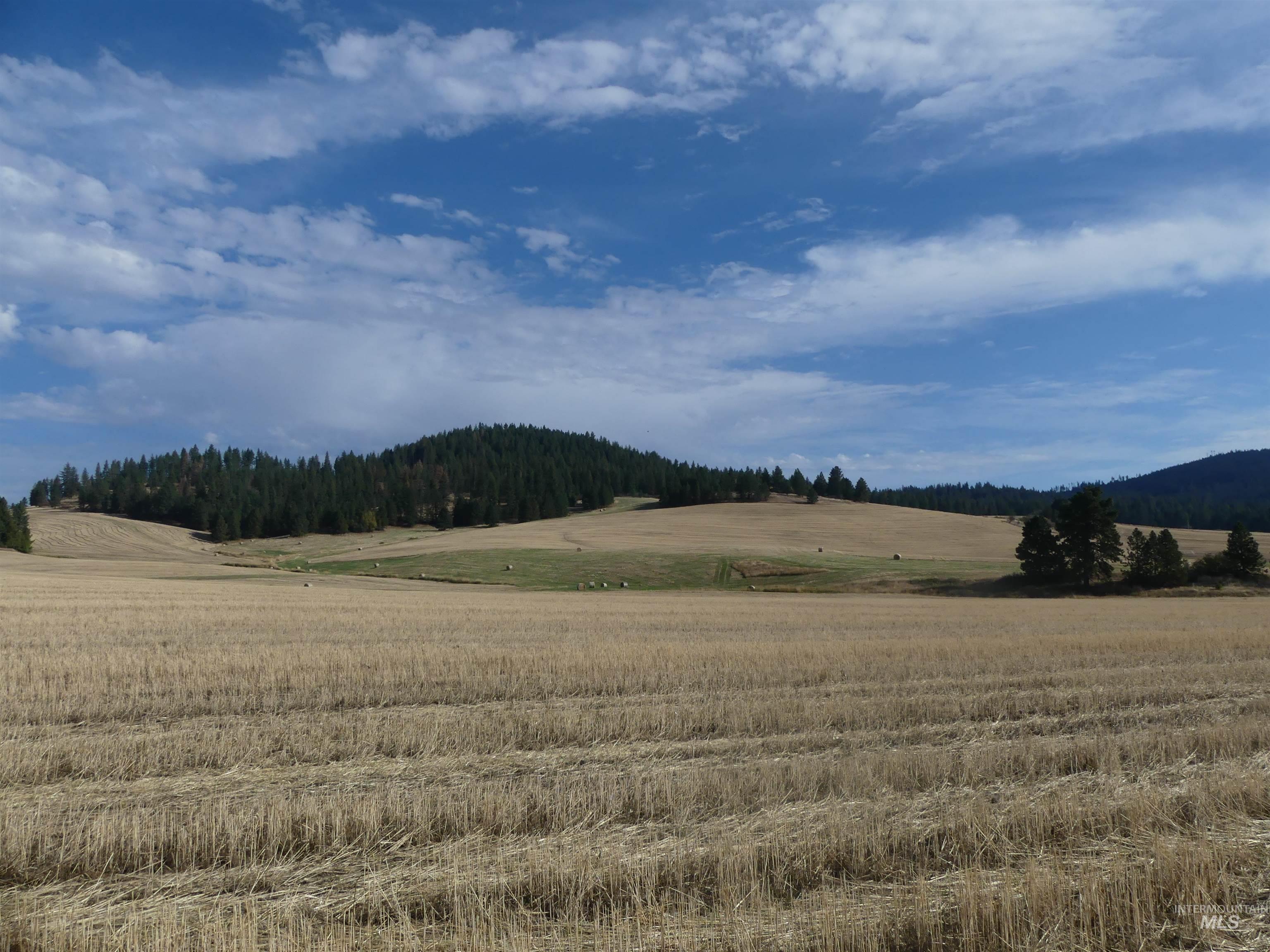77 Freeman Creek Rd, Kendrick, Idaho 83537, Land For Sale, Price $330,000, 99001311