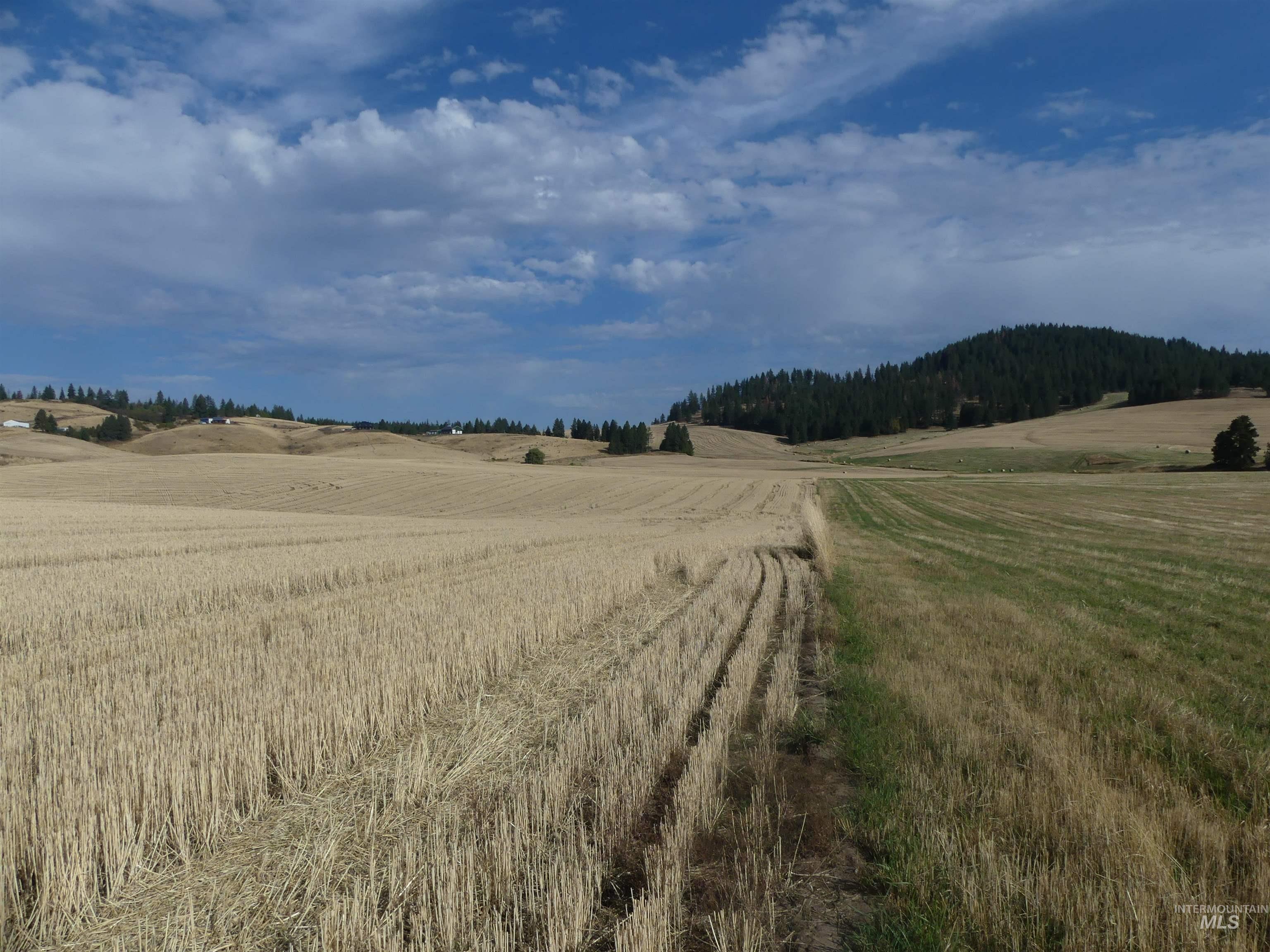 77 Freeman Creek Rd, Kendrick, Idaho 83537, Land For Sale, Price $330,000, 99001311