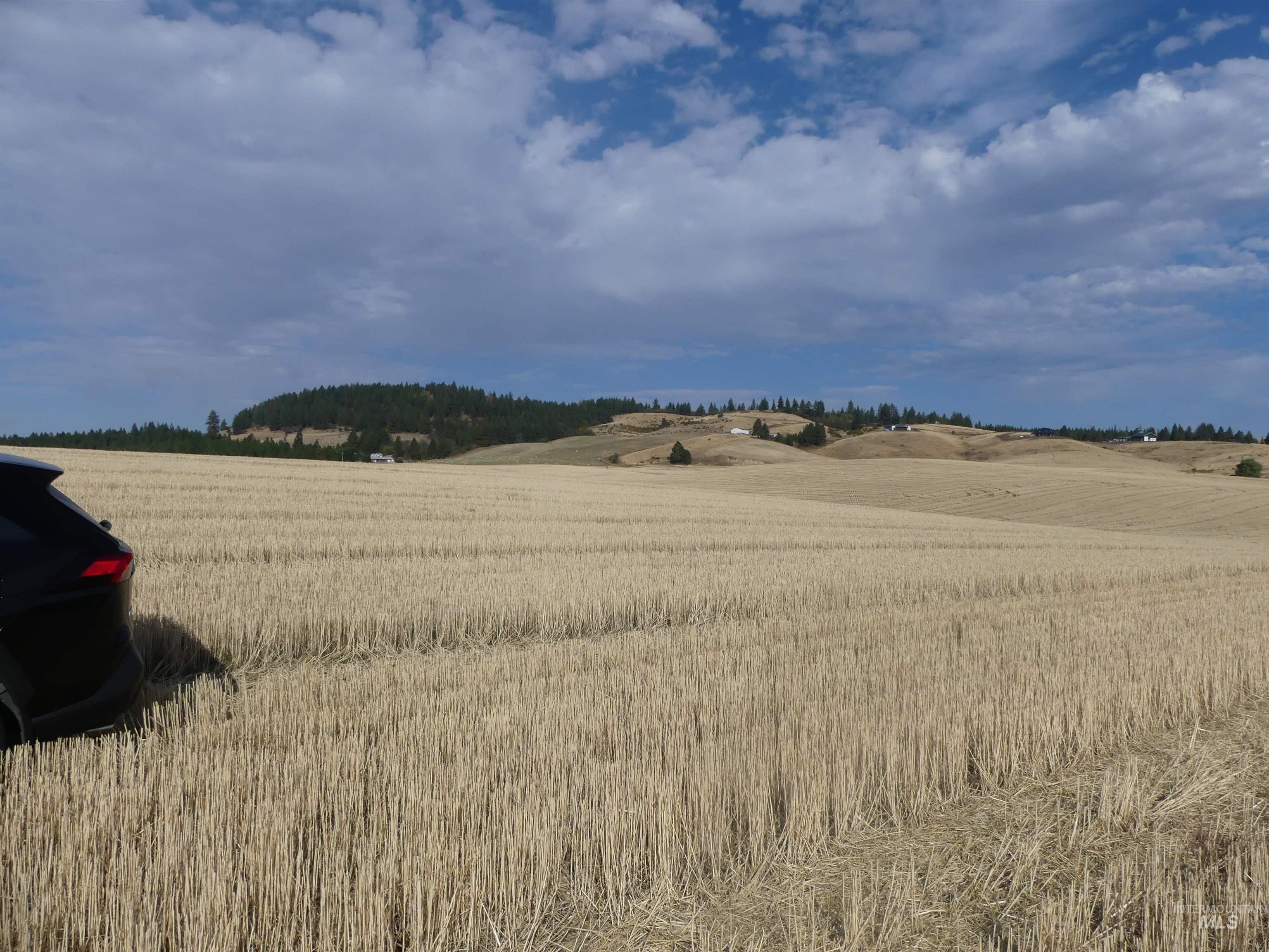 77 Freeman Creek Rd, Kendrick, Idaho 83537, Land For Sale, Price $330,000, 99001311