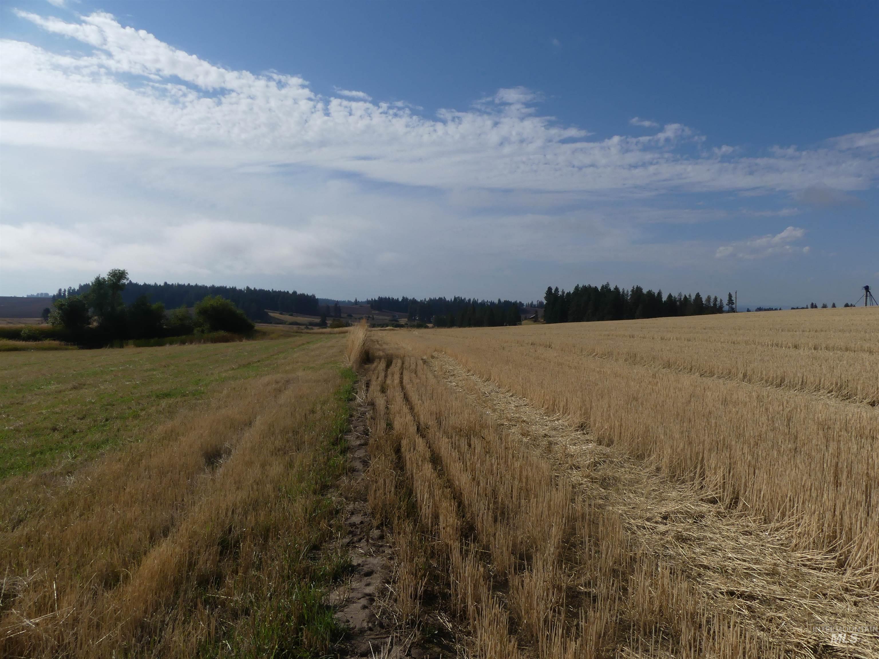 77 Freeman Creek Rd, Kendrick, Idaho 83537, Land For Sale, Price $330,000, 99001311