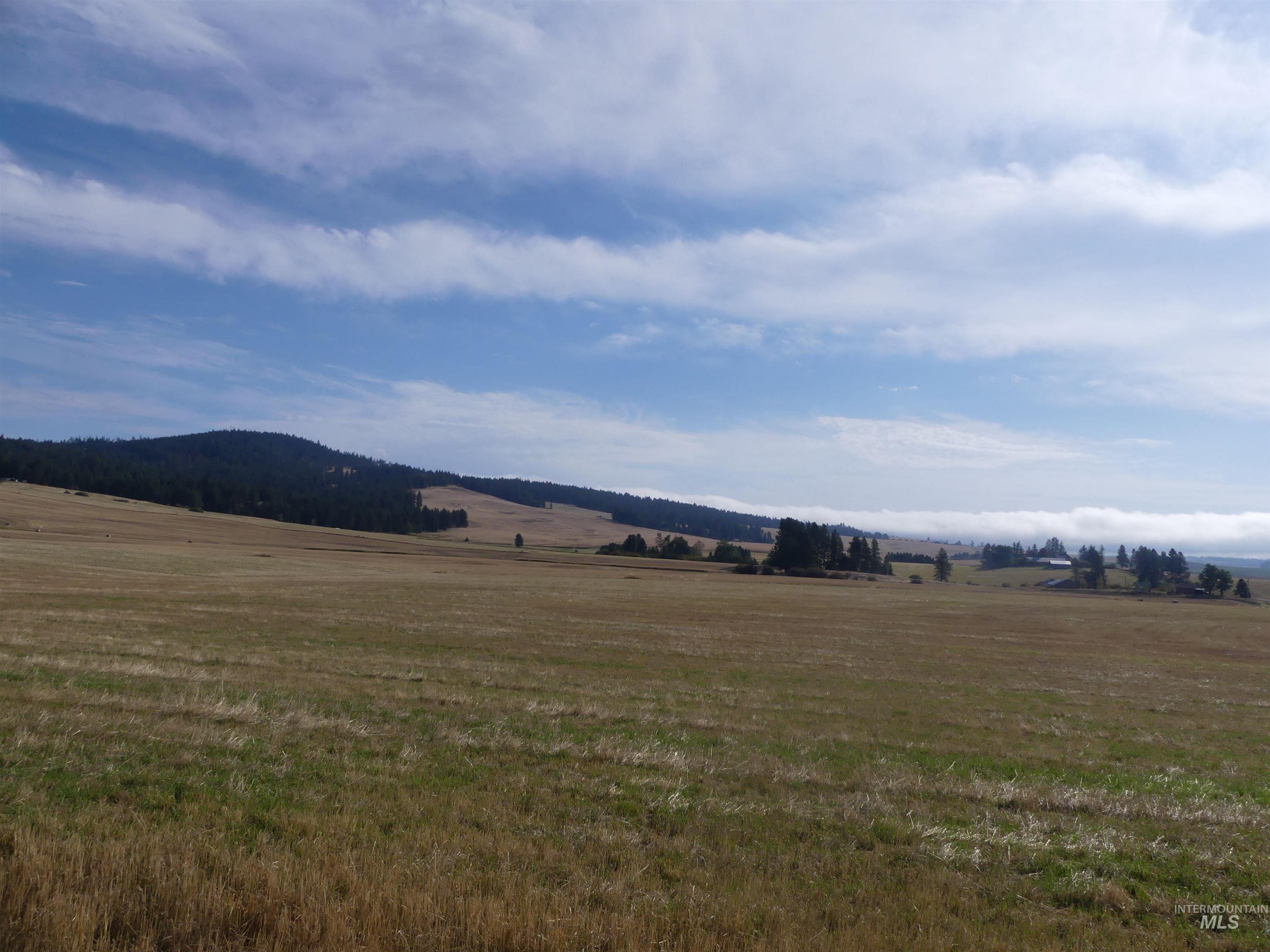 77 Freeman Creek Rd, Kendrick, Idaho 83537, Land For Sale, Price $330,000, 99001311