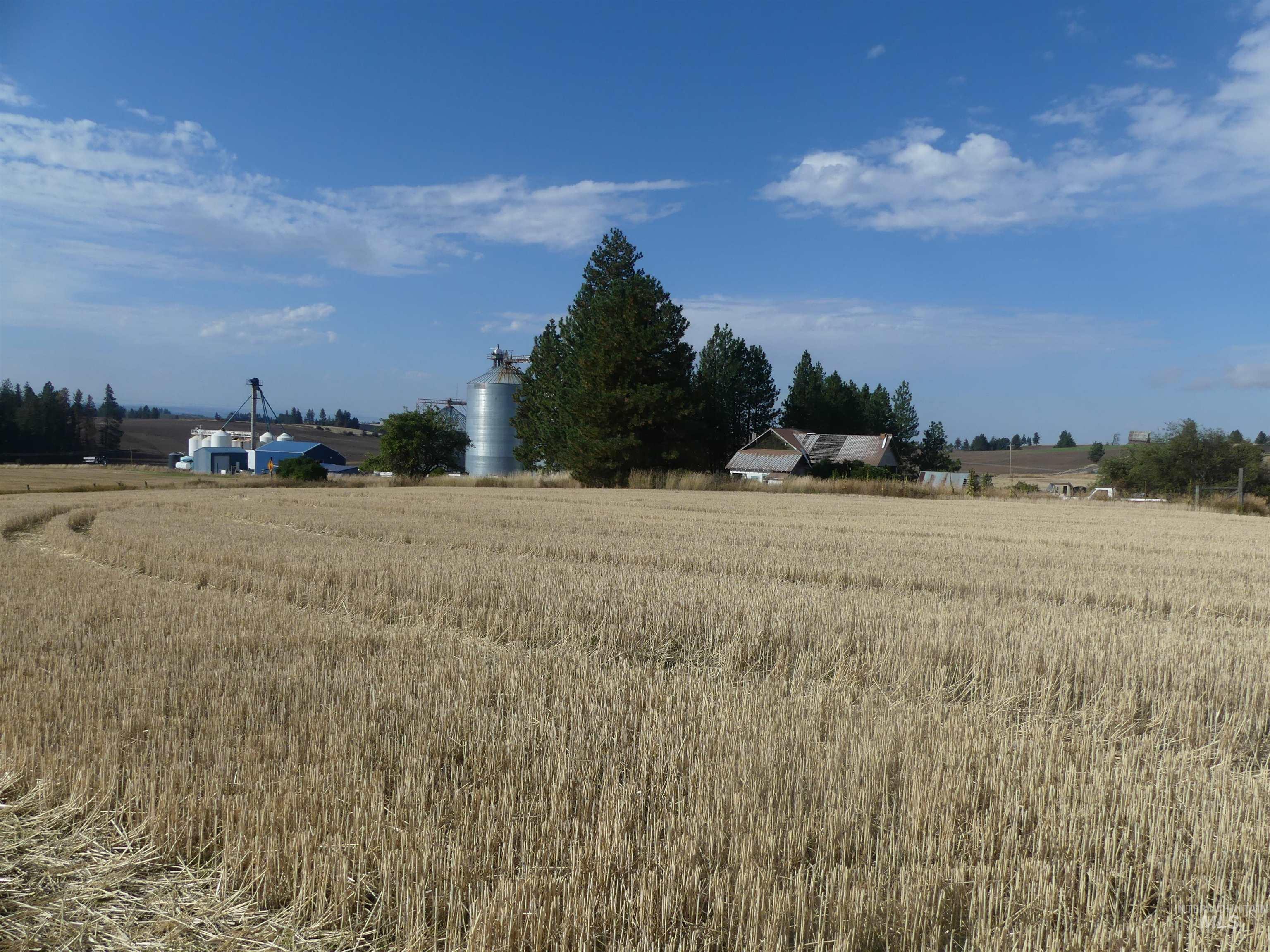 77 Freeman Creek Rd, Kendrick, Idaho 83537, Land For Sale, Price $330,000, 99001311
