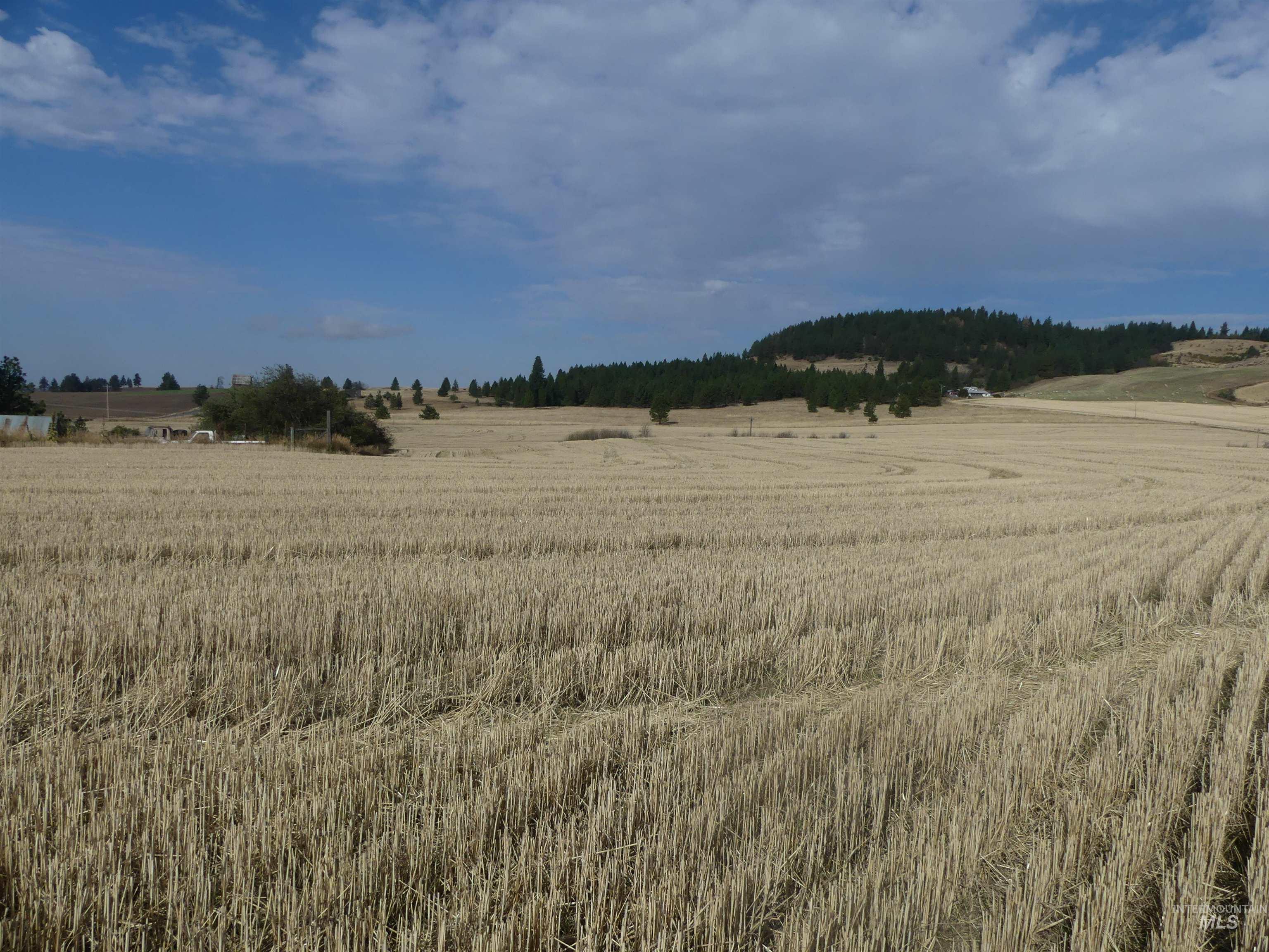 77 Freeman Creek Rd, Kendrick, Idaho 83537, Land For Sale, Price $330,000, 99001311