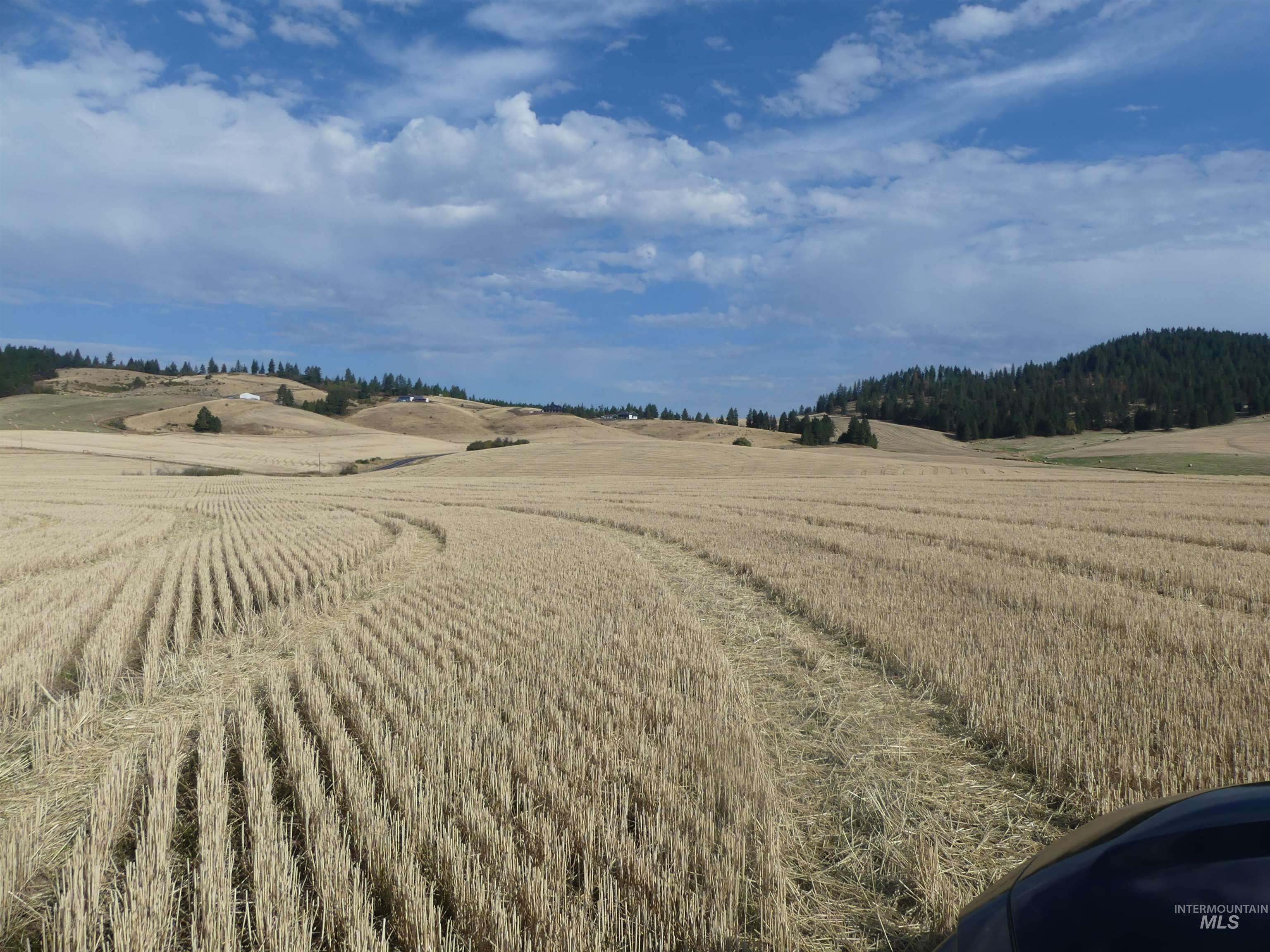 77 Freeman Creek Rd, Kendrick, Idaho 83537, Land For Sale, Price $330,000, 99001311