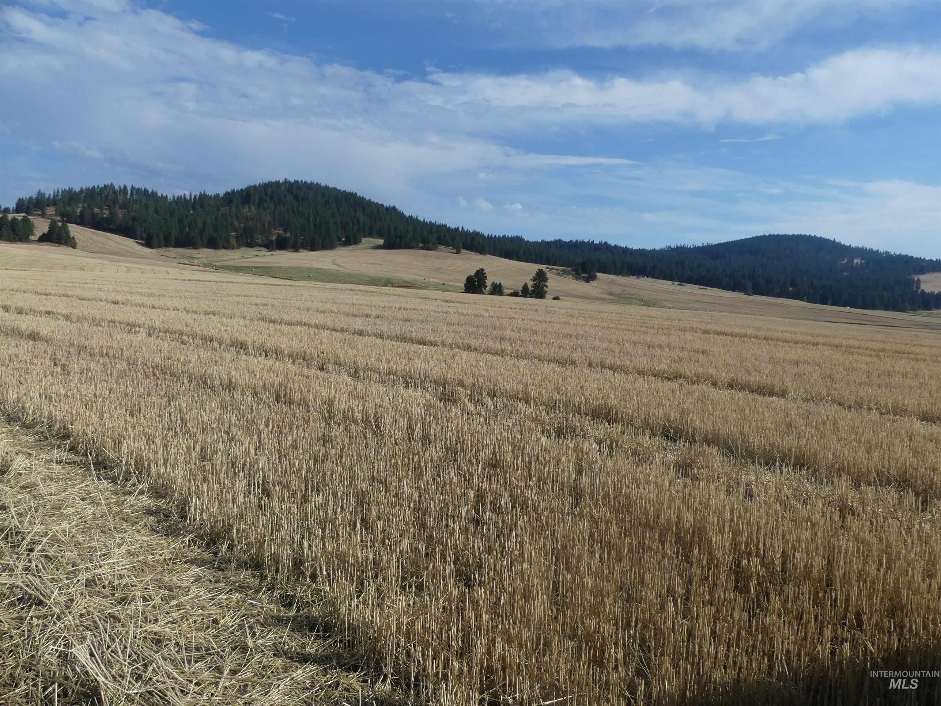77 Freeman Creek Rd, Kendrick, Idaho 83537, Land For Sale, Price $330,000, 99001311