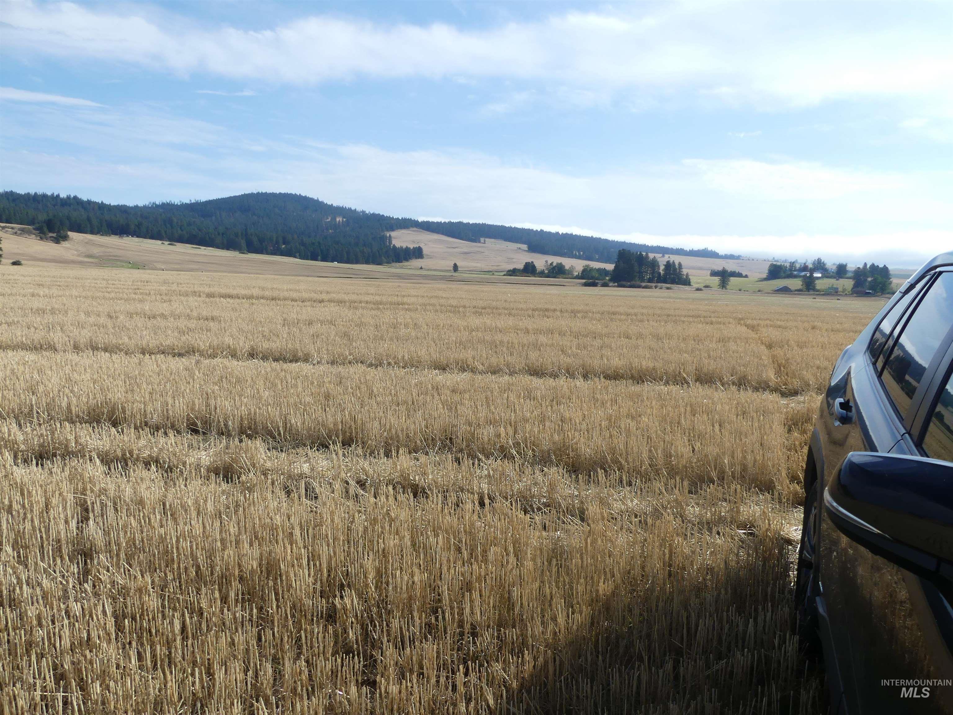 77 Freeman Creek Rd, Kendrick, Idaho 83537, Land For Sale, Price $330,000, 99001311