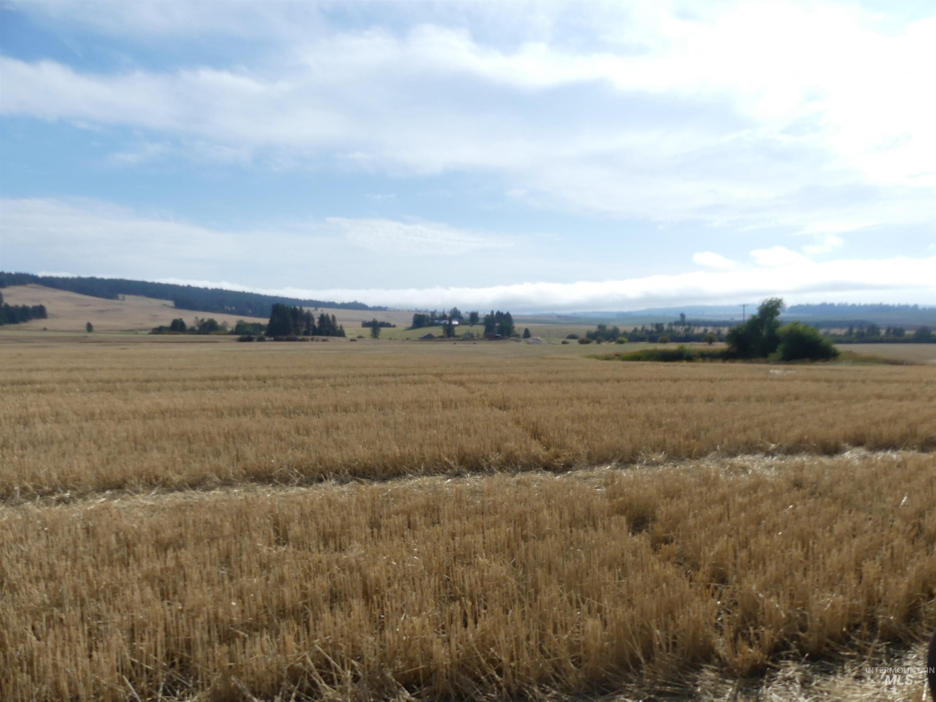77 Freeman Creek Rd, Kendrick, Idaho 83537, Land For Sale, Price $330,000, 99001311