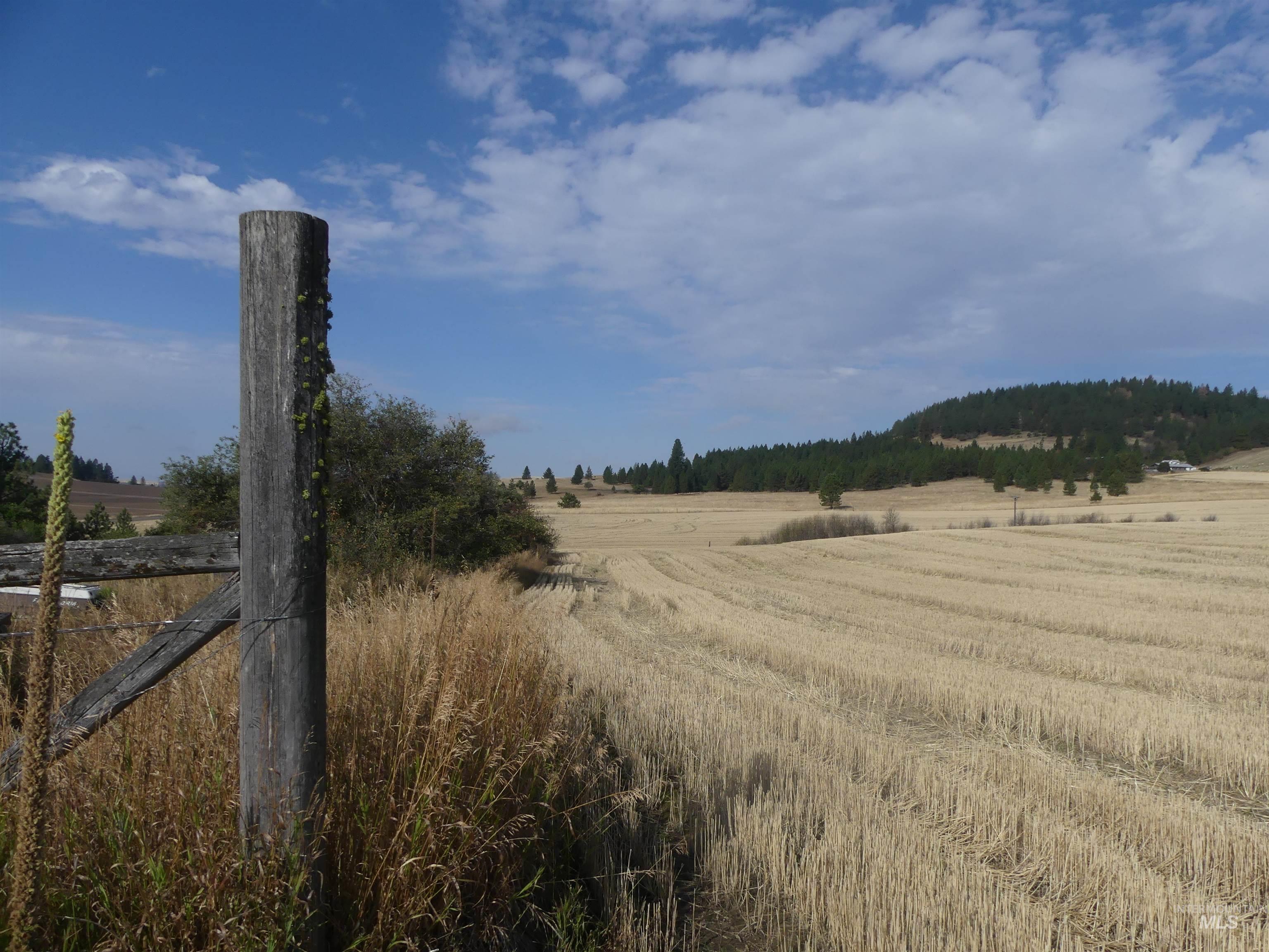 77 Freeman Creek Rd, Kendrick, Idaho 83537, Land For Sale, Price $330,000, 99001311