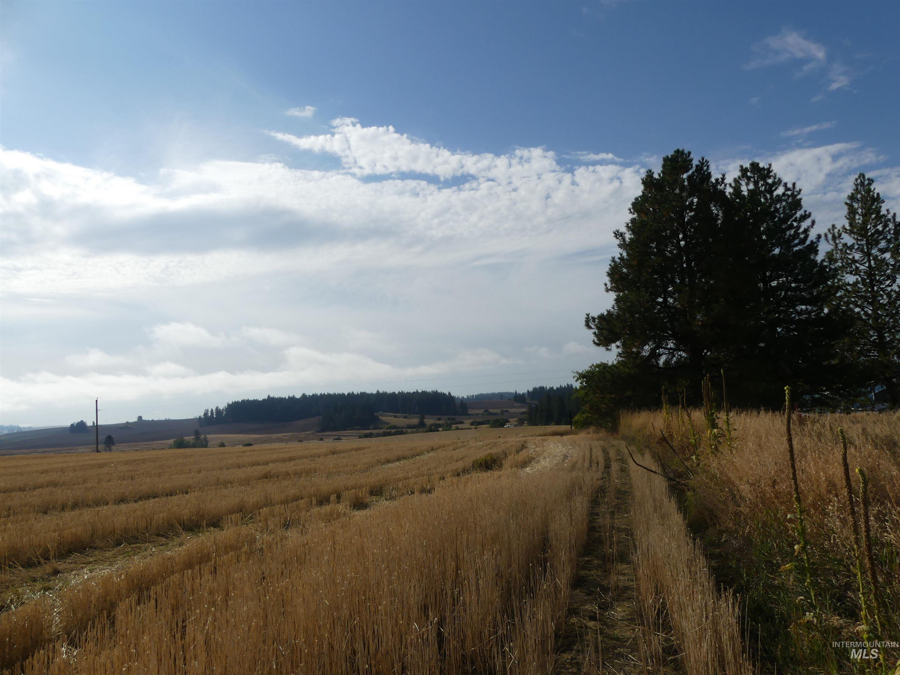 77 Freeman Creek Rd, Kendrick, Idaho 83537, Land For Sale, Price $330,000, 99001311