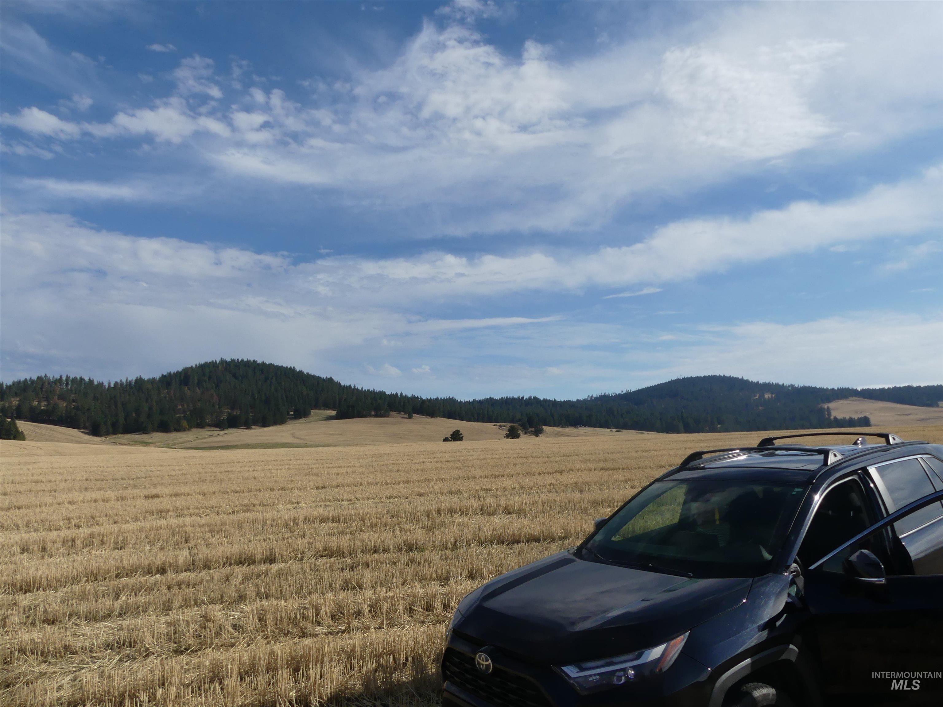 77 Freeman Creek Rd, Kendrick, Idaho 83537, Land For Sale, Price $330,000, 99001311