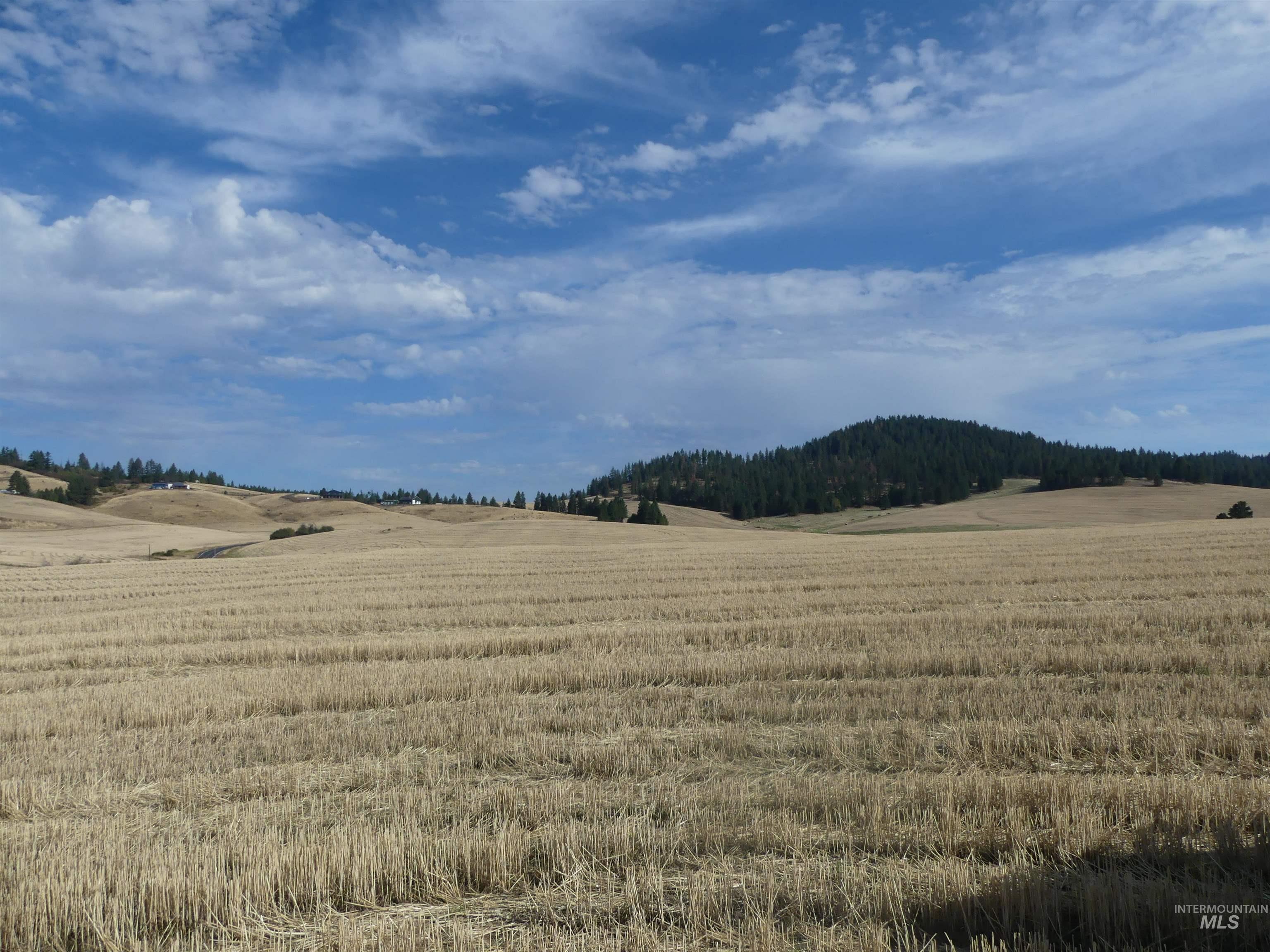 77 Freeman Creek Rd, Kendrick, Idaho 83537, Land For Sale, Price $330,000, 99001311