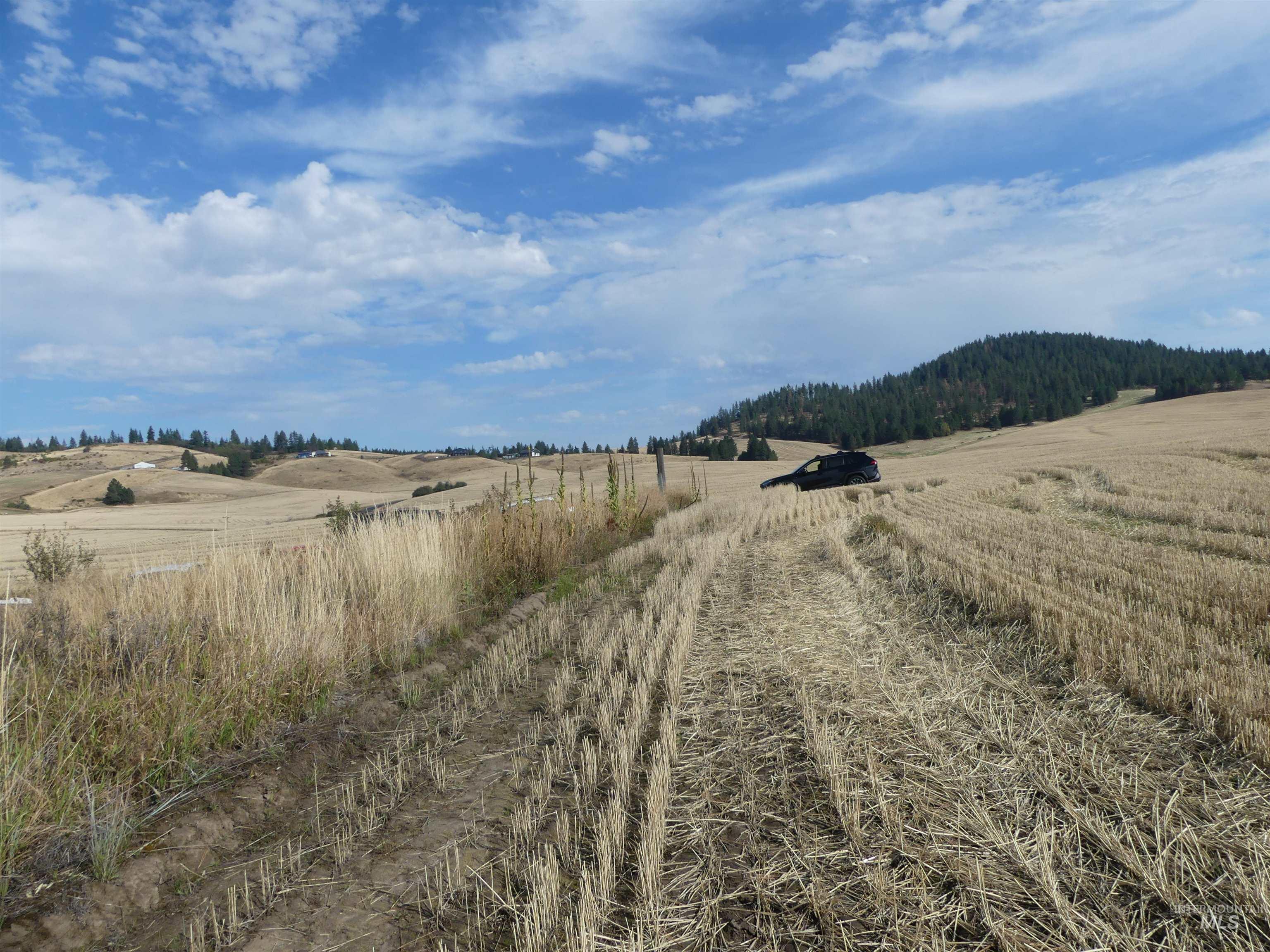 77 Freeman Creek Rd, Kendrick, Idaho 83537, Land For Sale, Price $330,000, 99001311