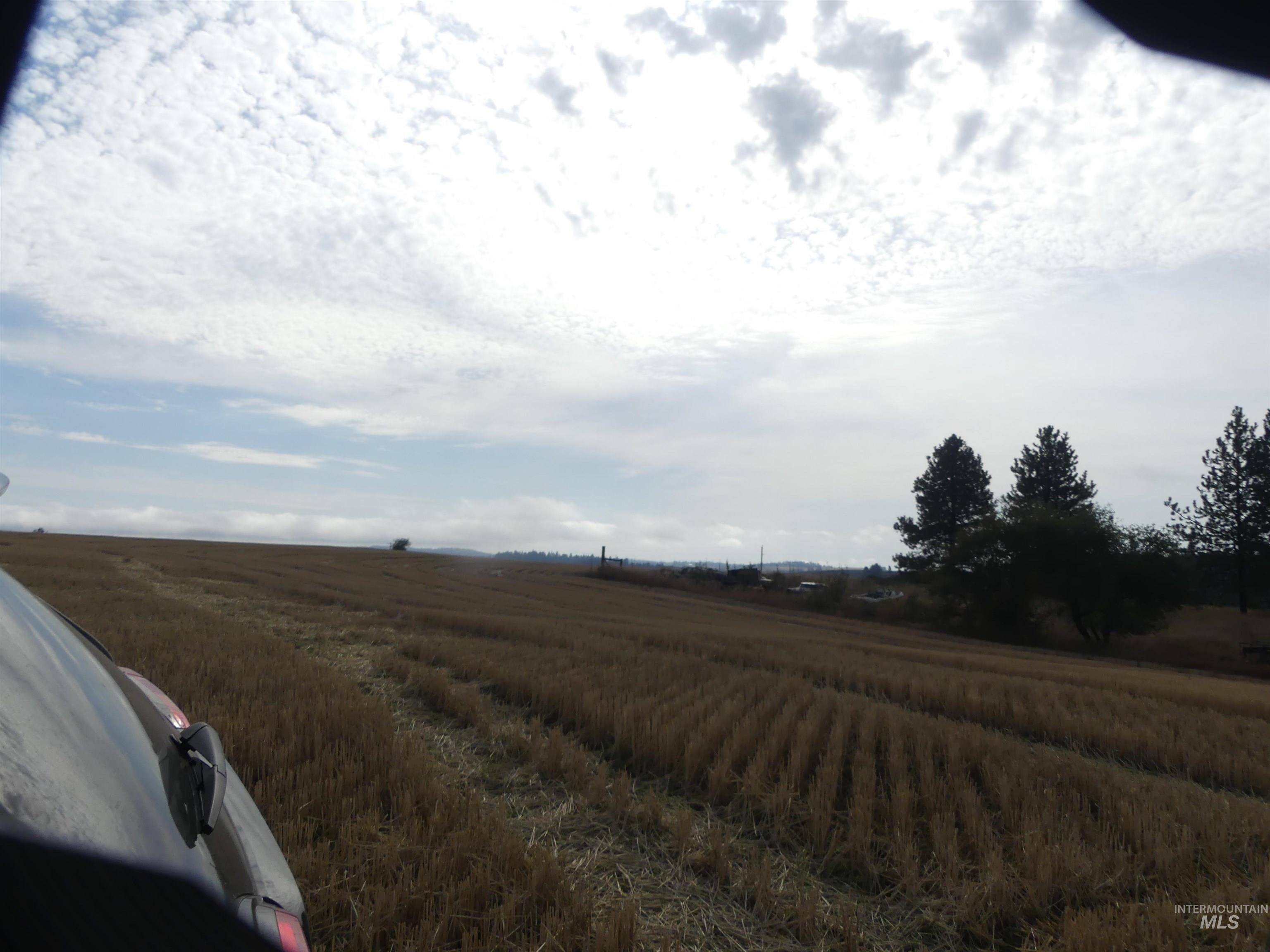 77 Freeman Creek Rd, Kendrick, Idaho 83537, Land For Sale, Price $330,000, 99001311