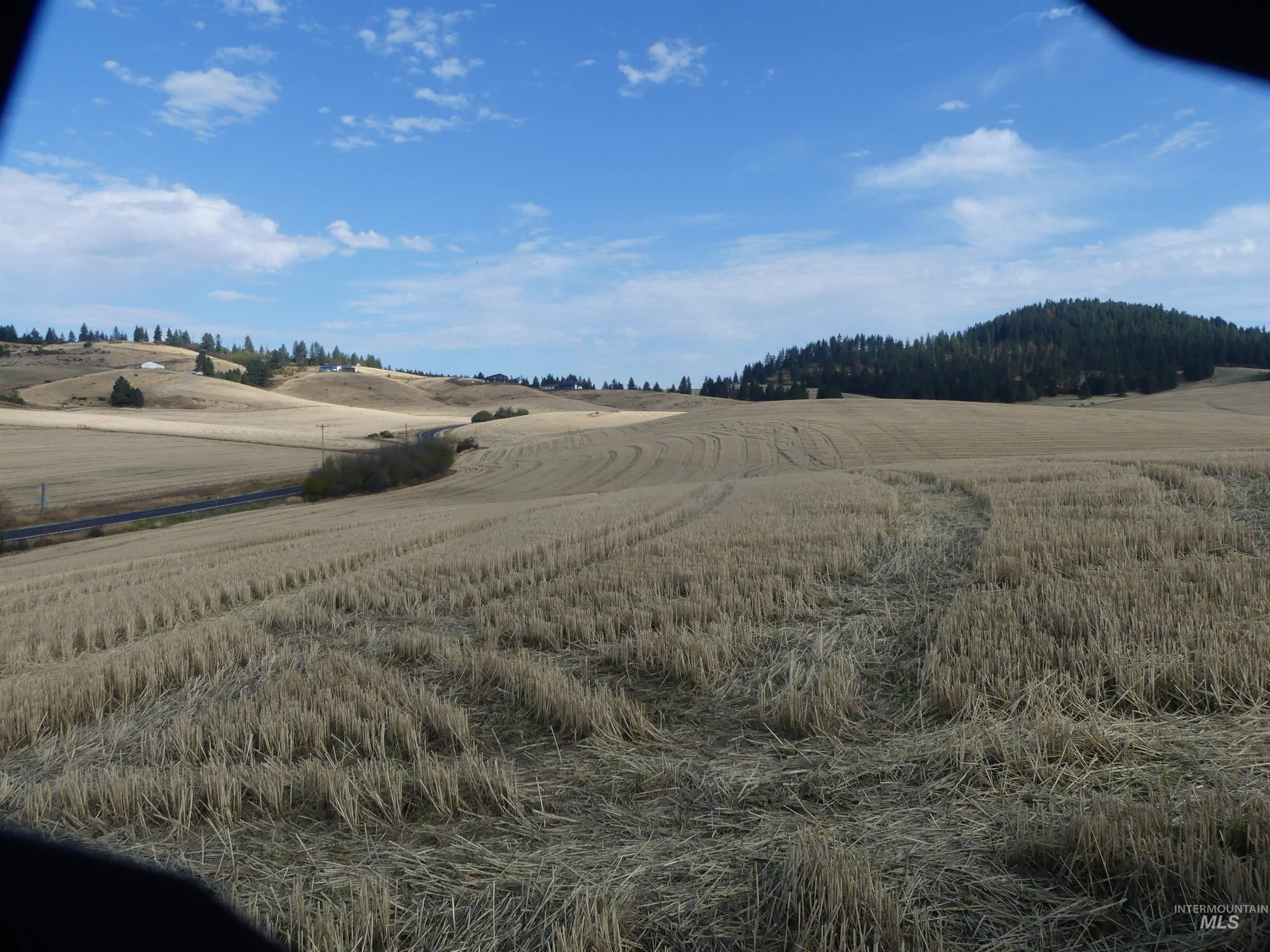 77 Freeman Creek Rd, Kendrick, Idaho 83537, Land For Sale, Price $330,000, 99001311