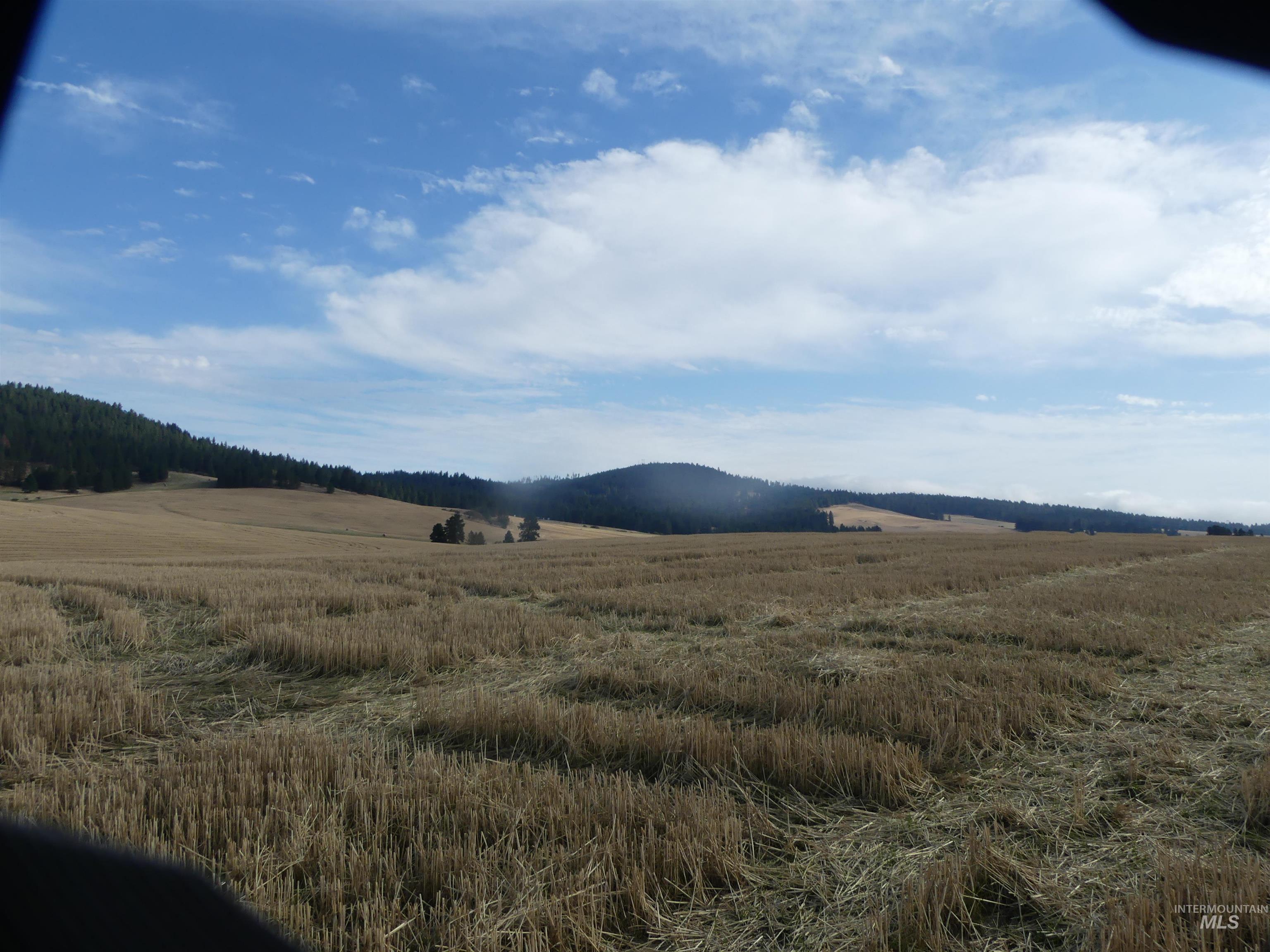 77 Freeman Creek Rd, Kendrick, Idaho 83537, Land For Sale, Price $330,000, 99001311