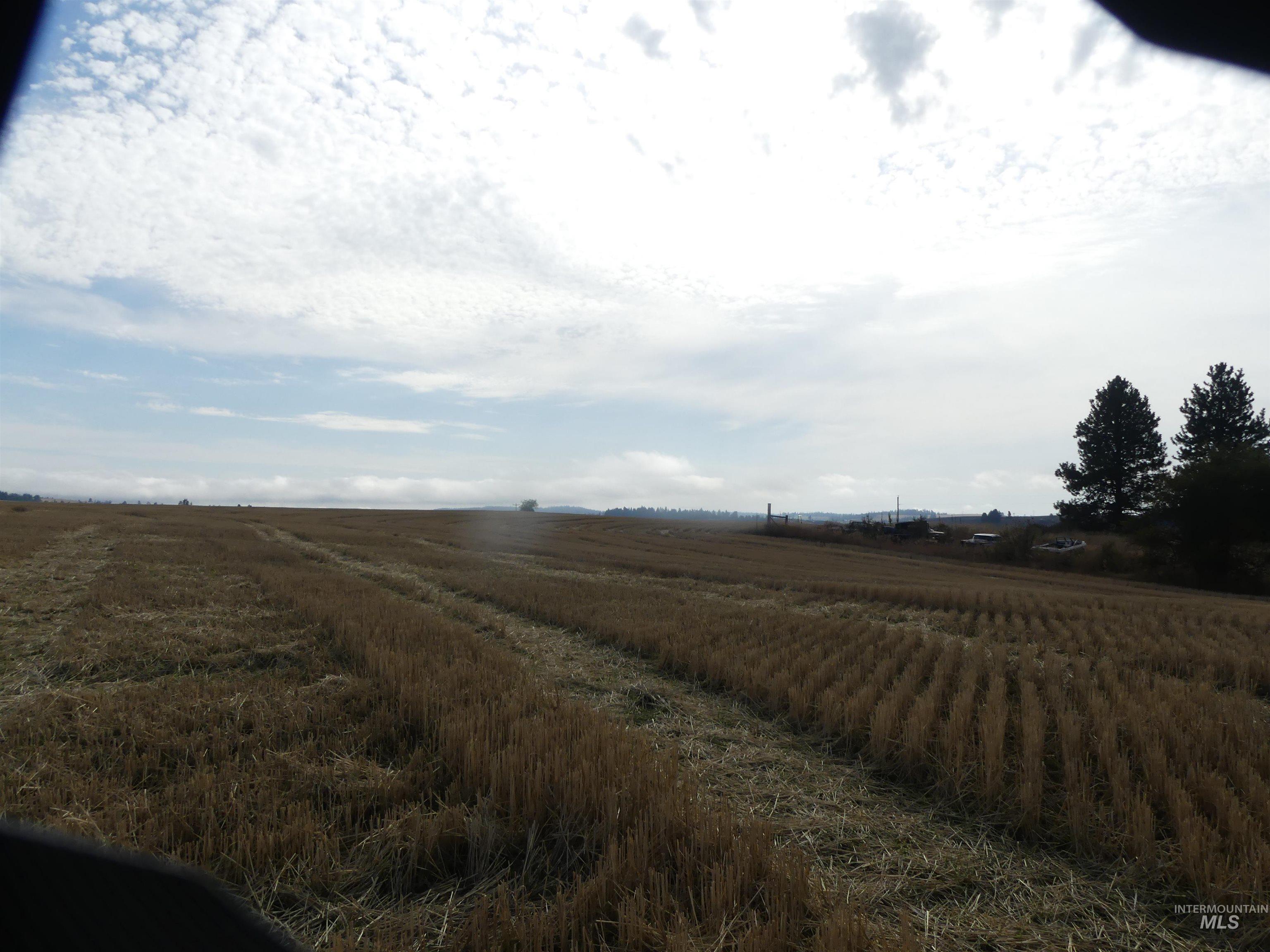 77 Freeman Creek Rd, Kendrick, Idaho 83537, Land For Sale, Price $330,000, 99001311