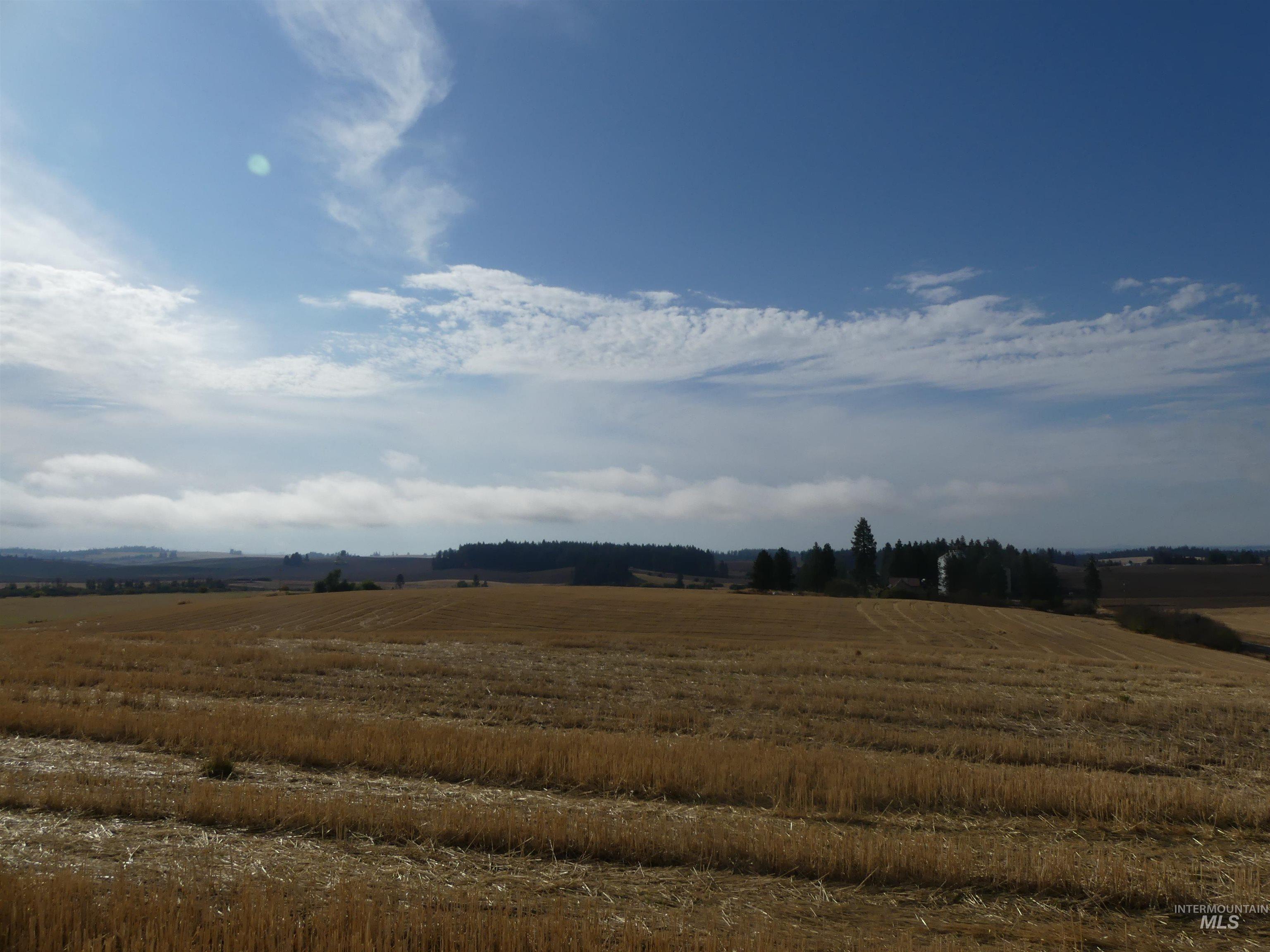 77 Freeman Creek Rd, Kendrick, Idaho 83537, Land For Sale, Price $330,000, 99001311