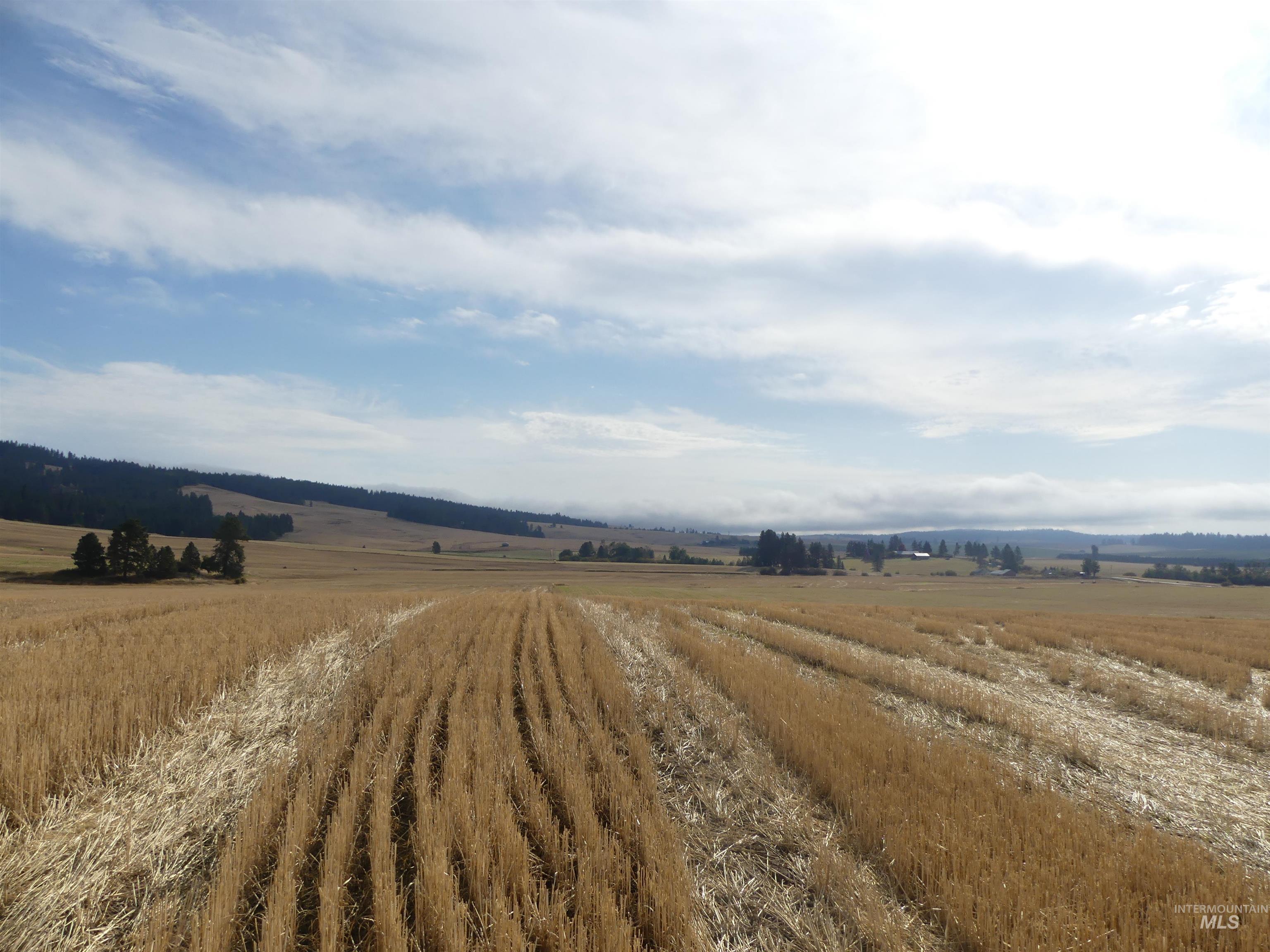 77 Freeman Creek Rd, Kendrick, Idaho 83537, Land For Sale, Price $330,000, 99001311