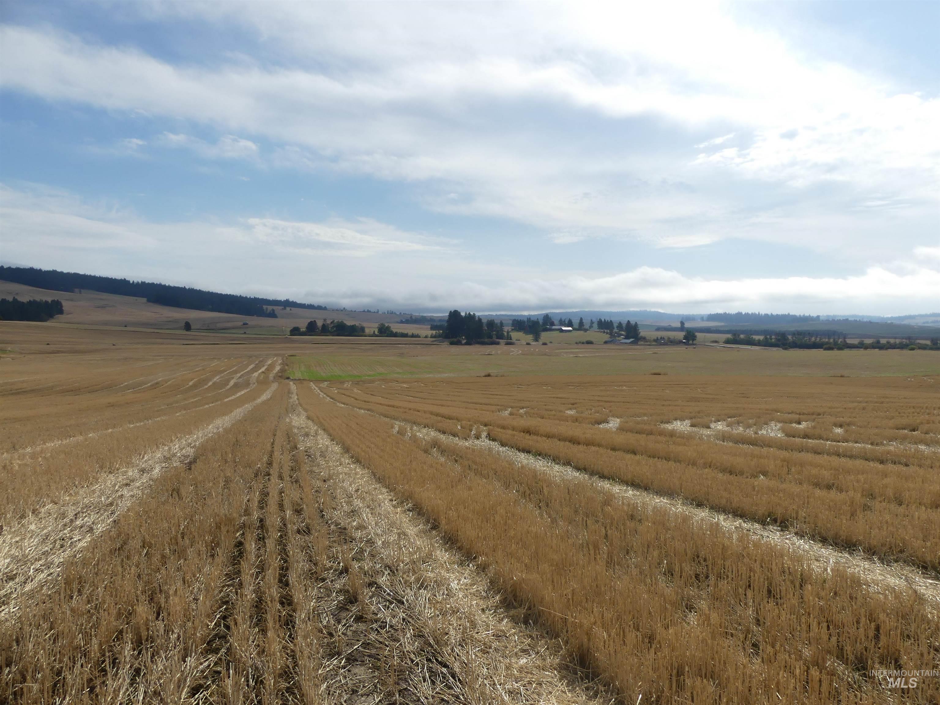 77 Freeman Creek Rd, Kendrick, Idaho 83537, Land For Sale, Price $330,000, 99001311
