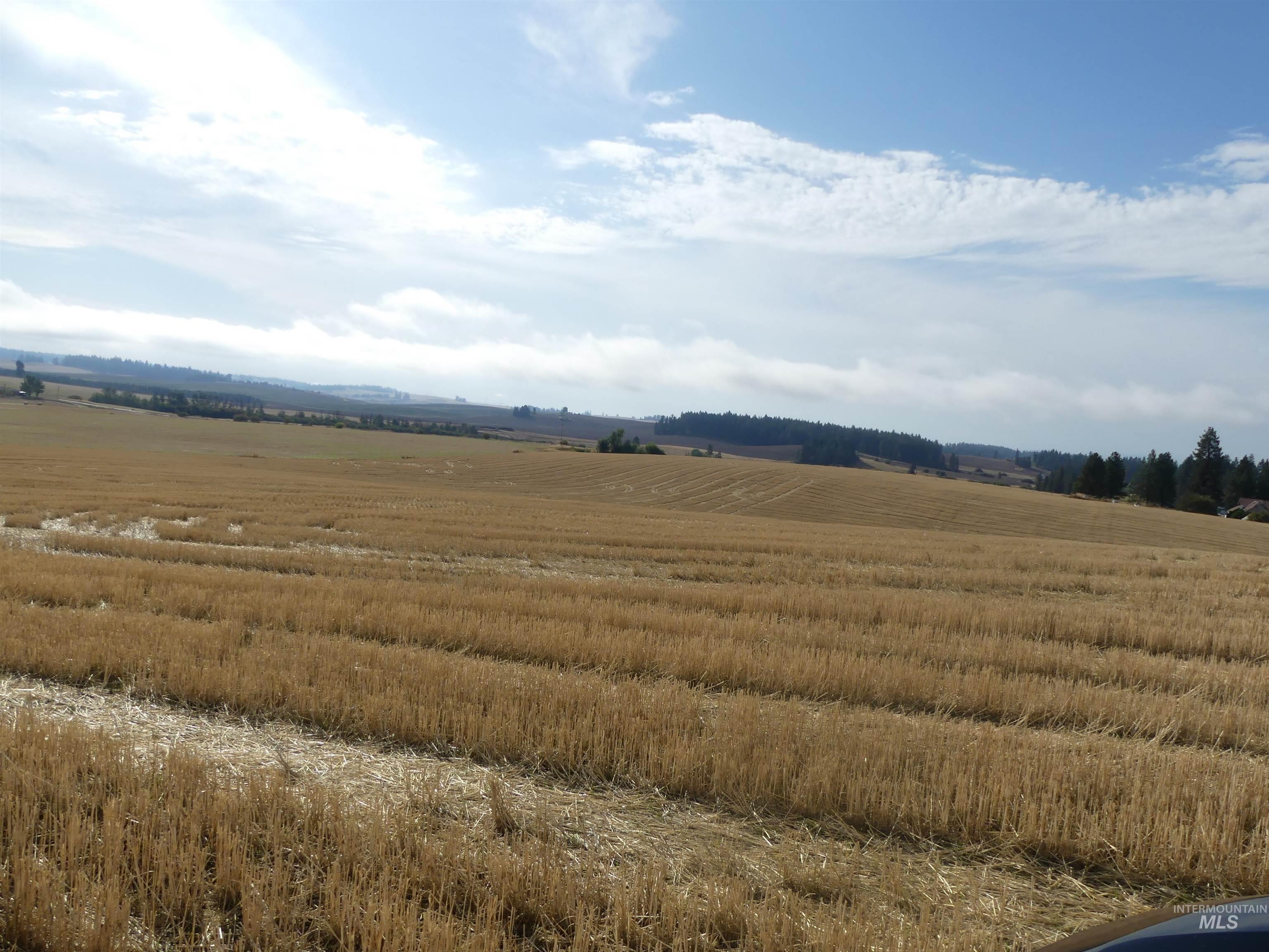 77 Freeman Creek Rd, Kendrick, Idaho 83537, Land For Sale, Price $330,000, 99001311
