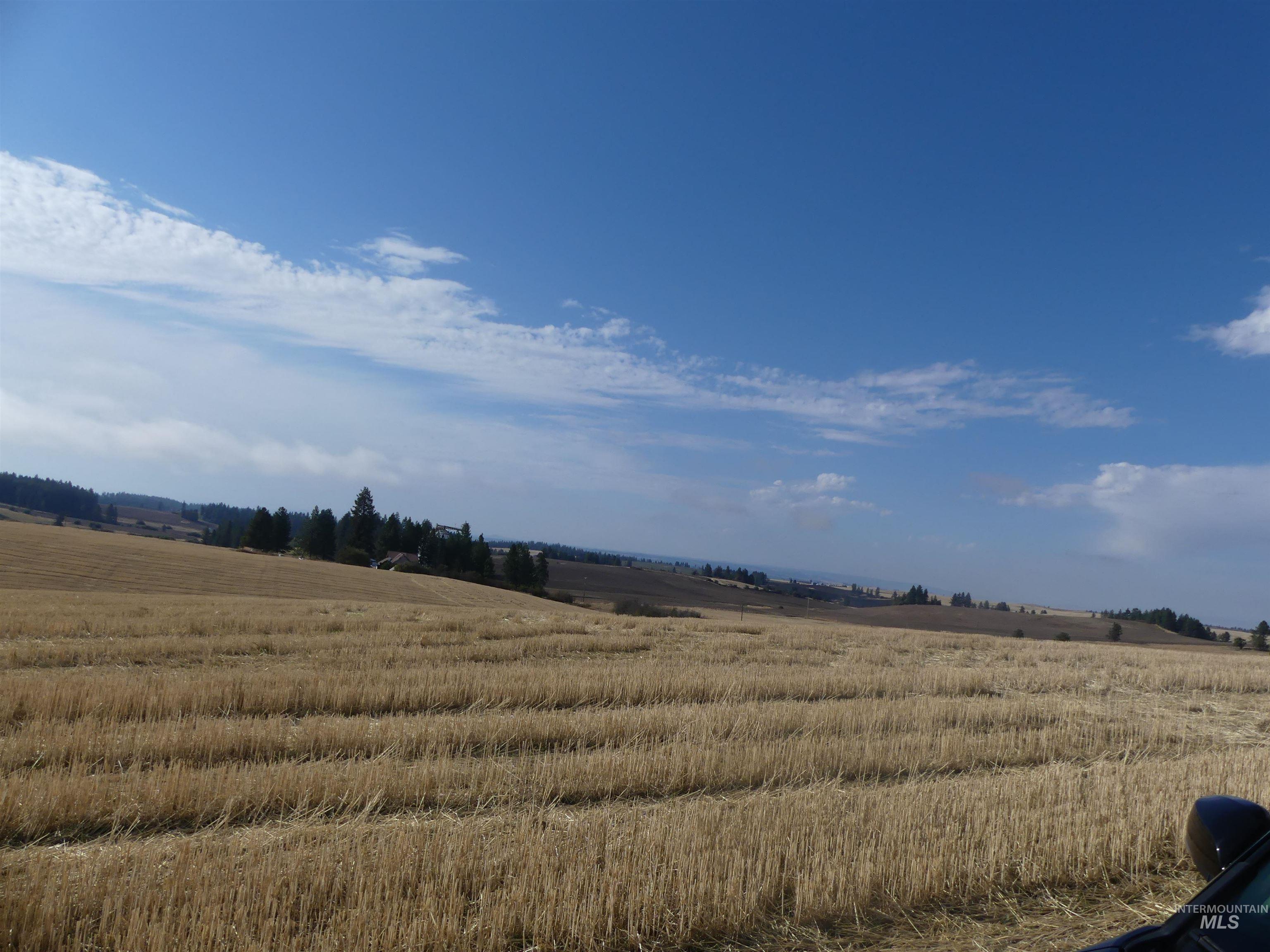 77 Freeman Creek Rd, Kendrick, Idaho 83537, Land For Sale, Price $330,000, 99001311