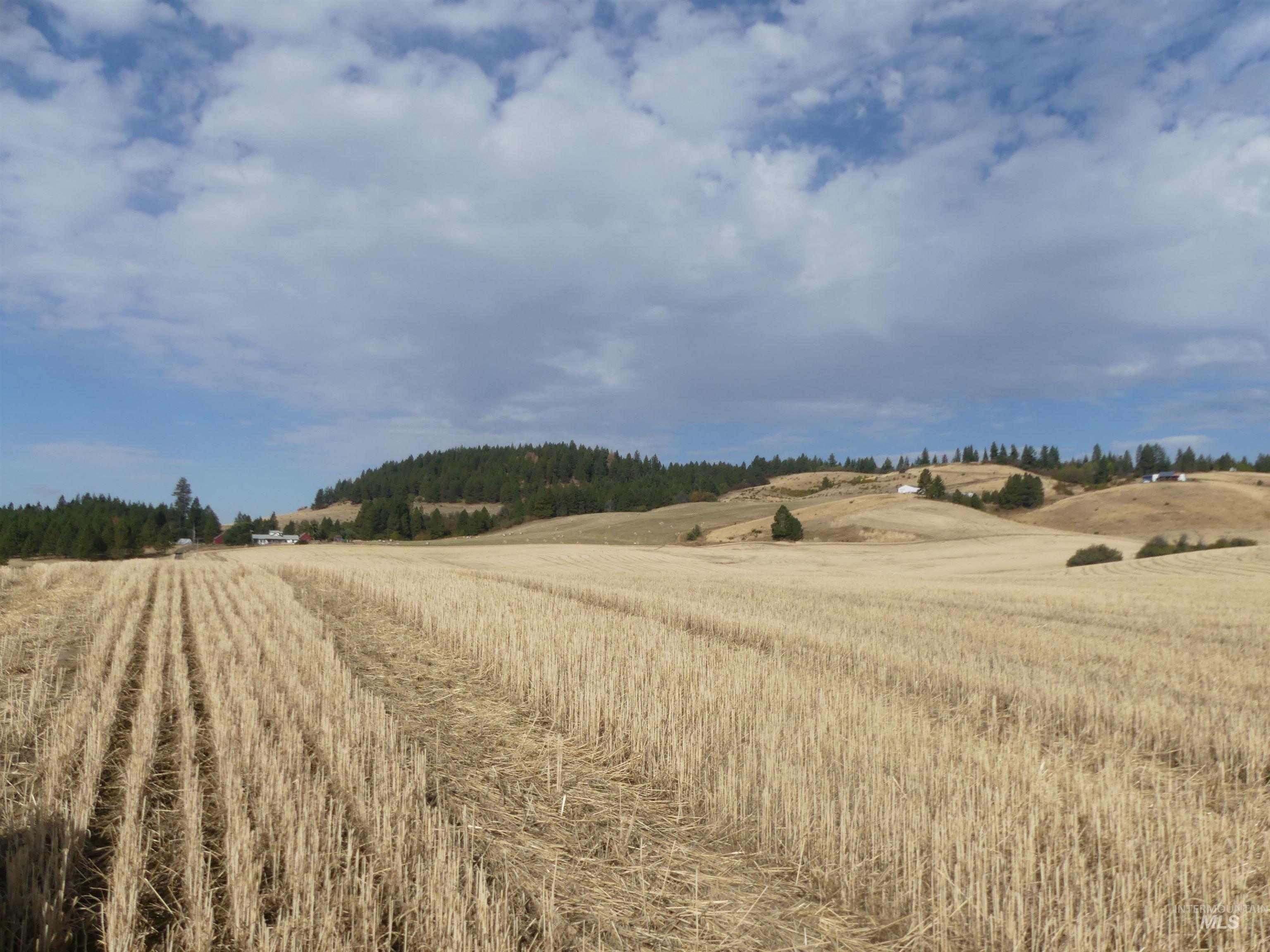 77 Freeman Creek Rd, Kendrick, Idaho 83537, Land For Sale, Price $330,000, 99001311