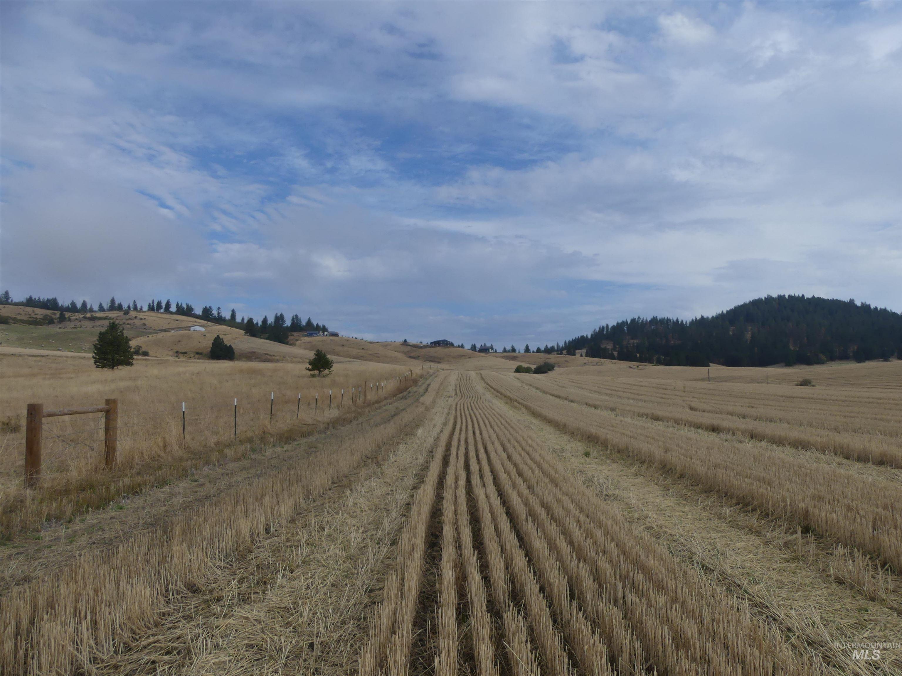 13250 CAVENDISH HWY, Kendrick, Idaho 83537, Land For Sale, Price $249,000, 99001318