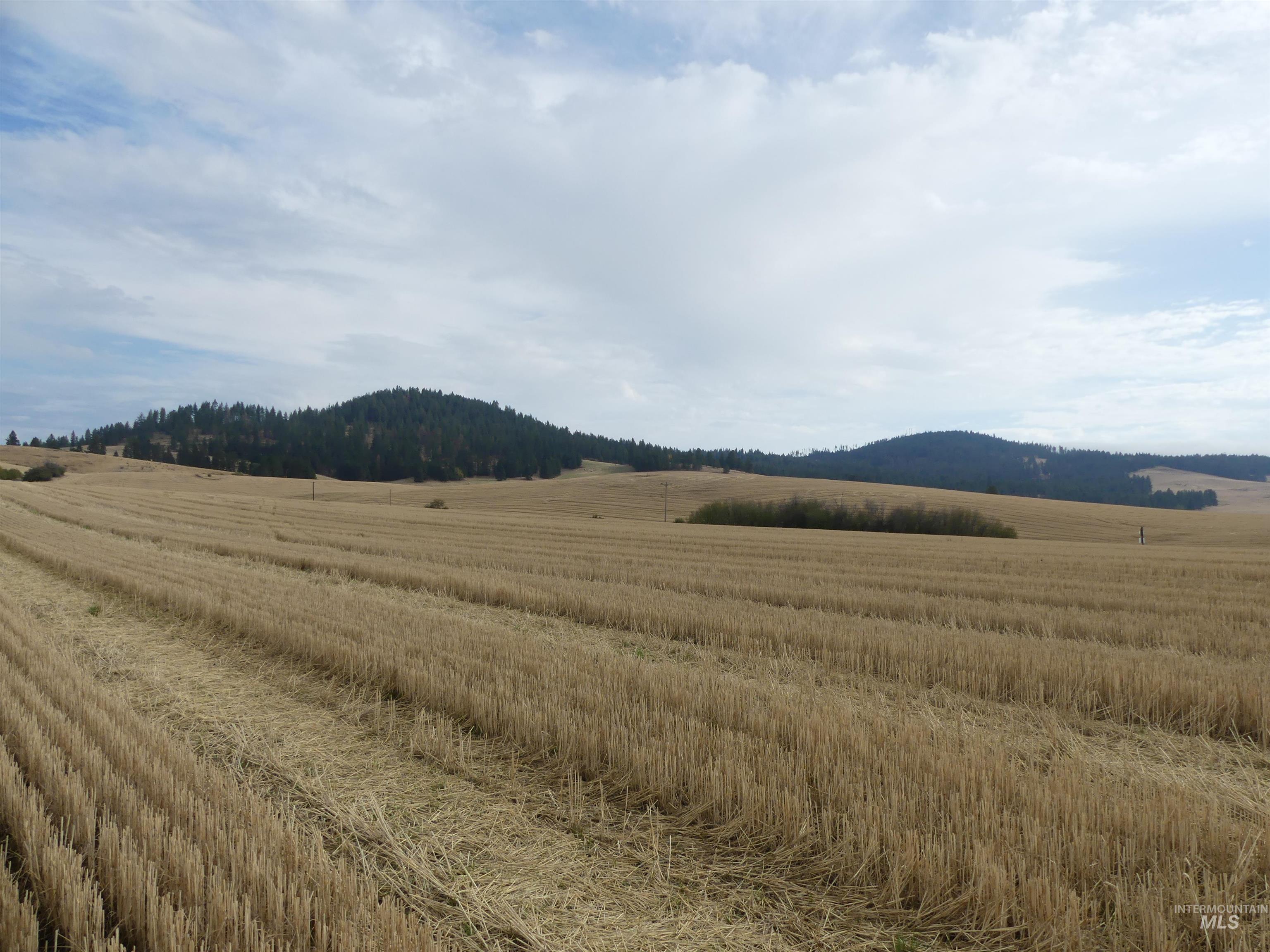 13250 CAVENDISH HWY, Kendrick, Idaho 83537, Land For Sale, Price $249,000, 99001318