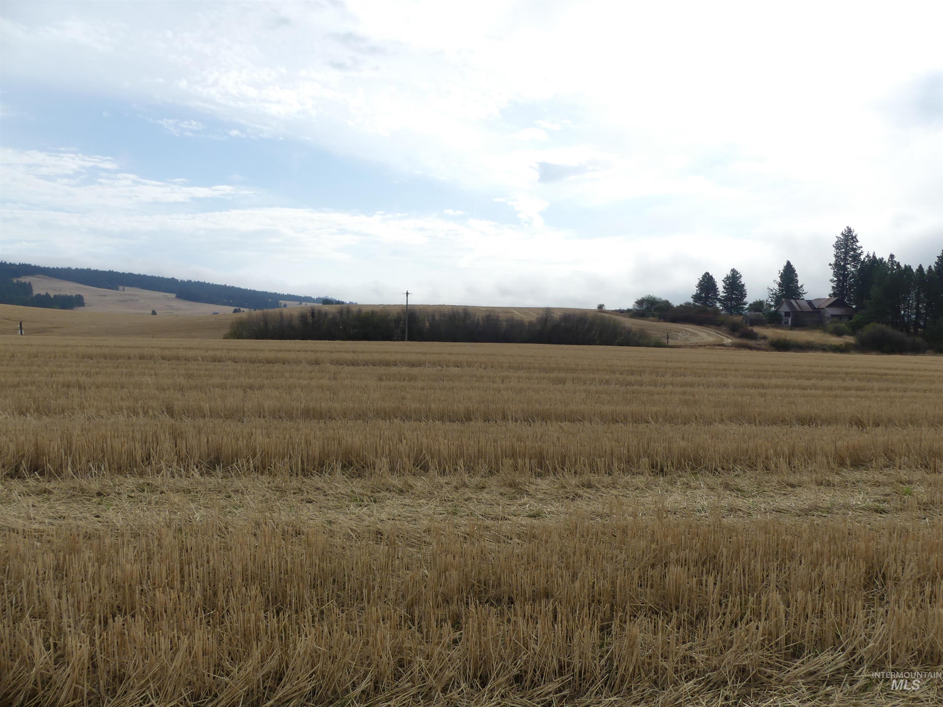 13250 CAVENDISH HWY, Kendrick, Idaho 83537, Land For Sale, Price $249,000, 99001318