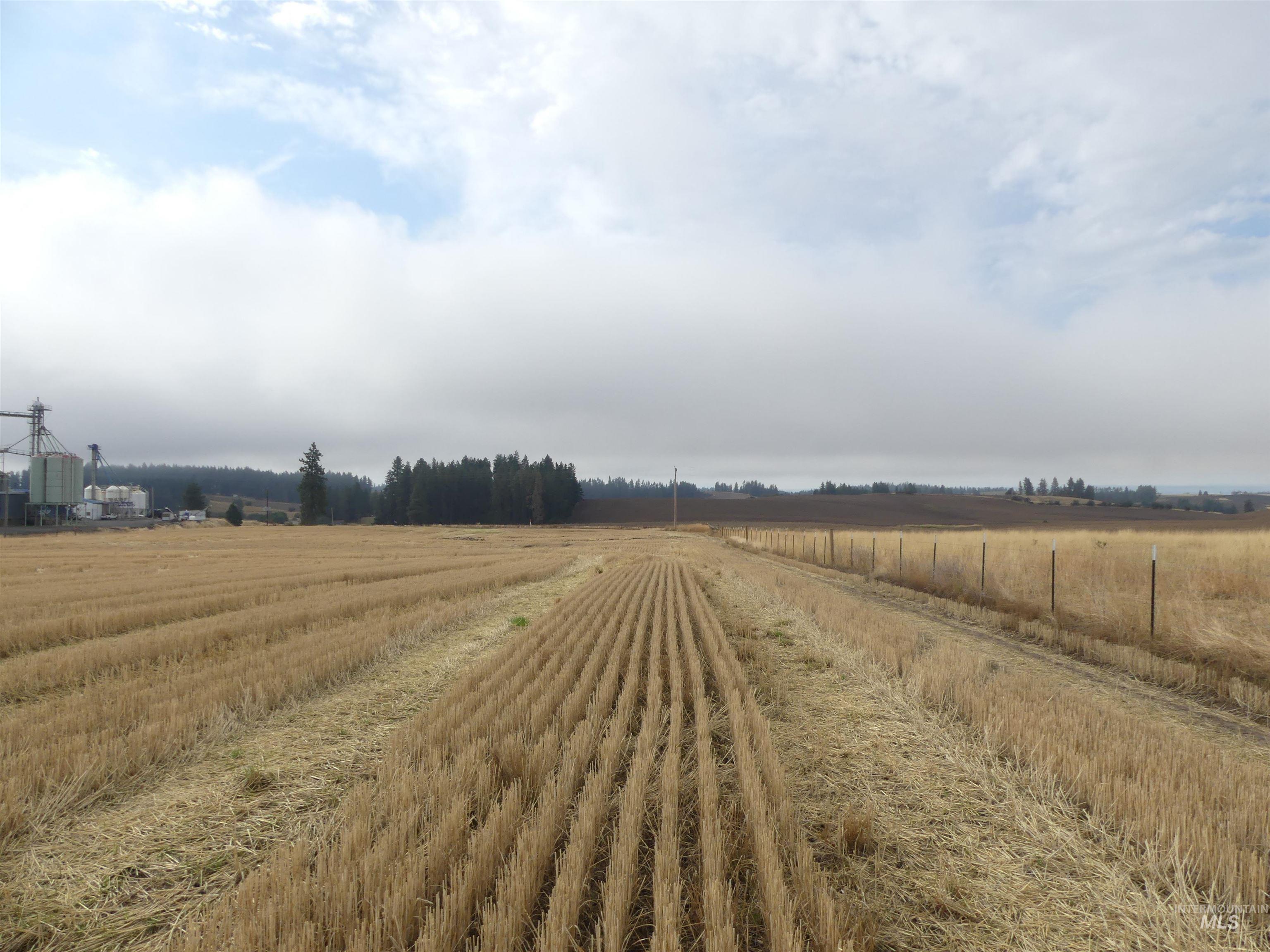 13250 CAVENDISH HWY, Kendrick, Idaho 83537, Land For Sale, Price $249,000, 99001318