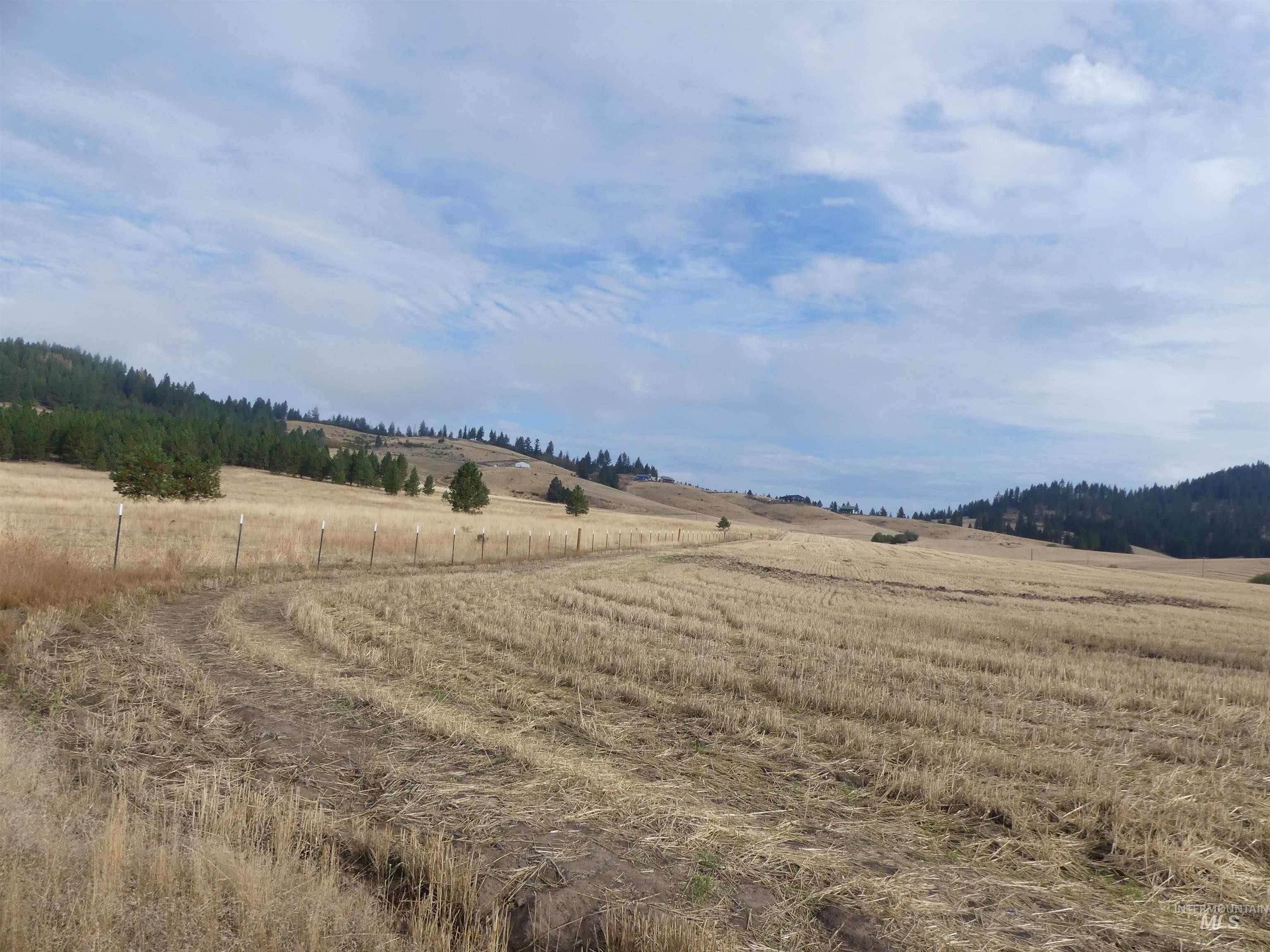 13250 CAVENDISH HWY, Kendrick, Idaho 83537, Land For Sale, Price $249,000, 99001318