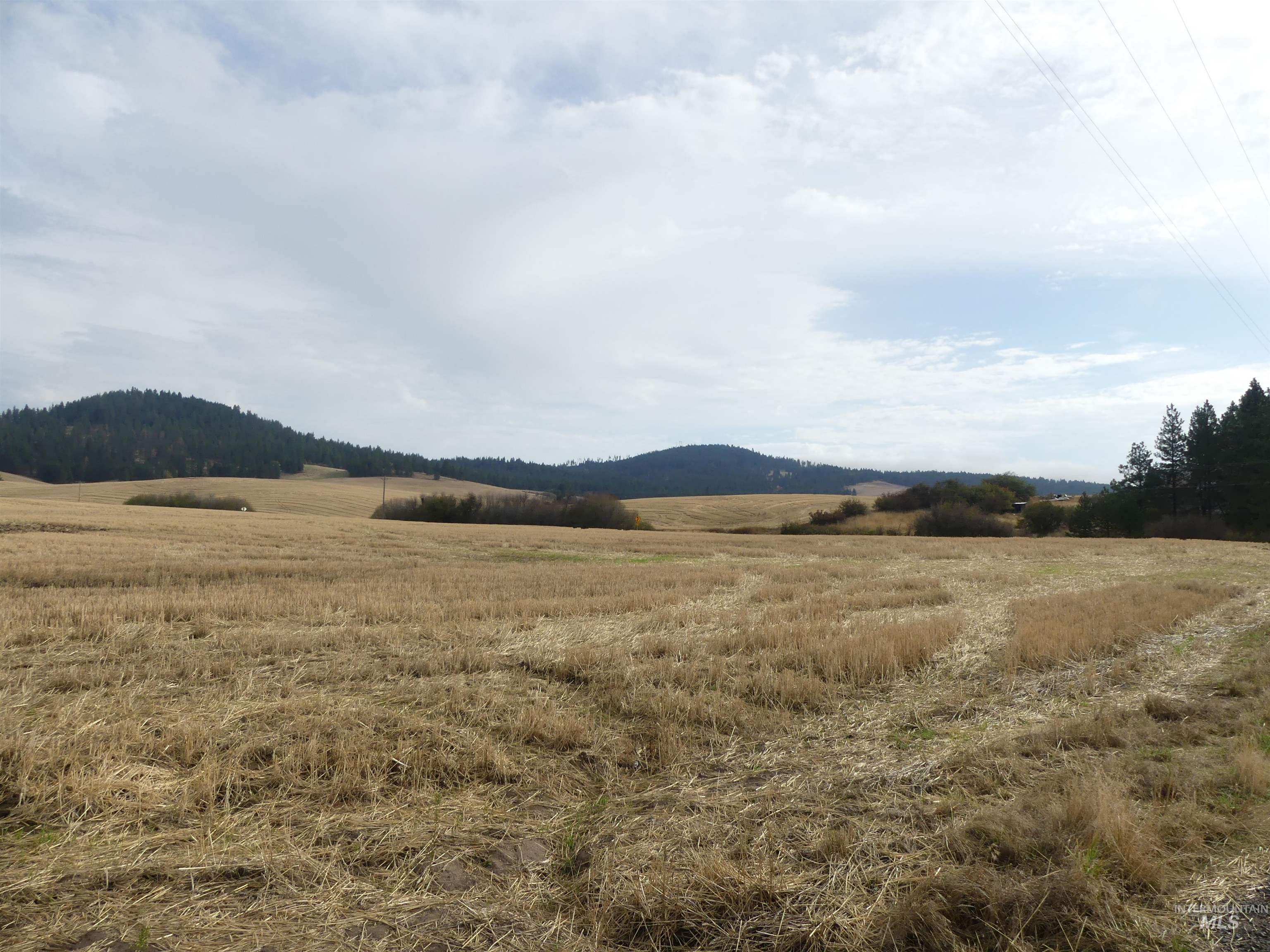13250 CAVENDISH HWY, Kendrick, Idaho 83537, Land For Sale, Price $249,000, 99001318