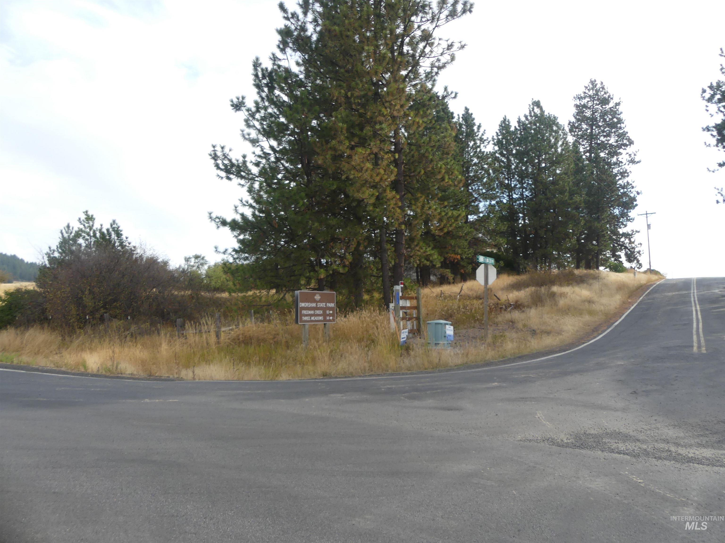 13250 CAVENDISH HWY, Kendrick, Idaho 83537, Land For Sale, Price $249,000, 99001318