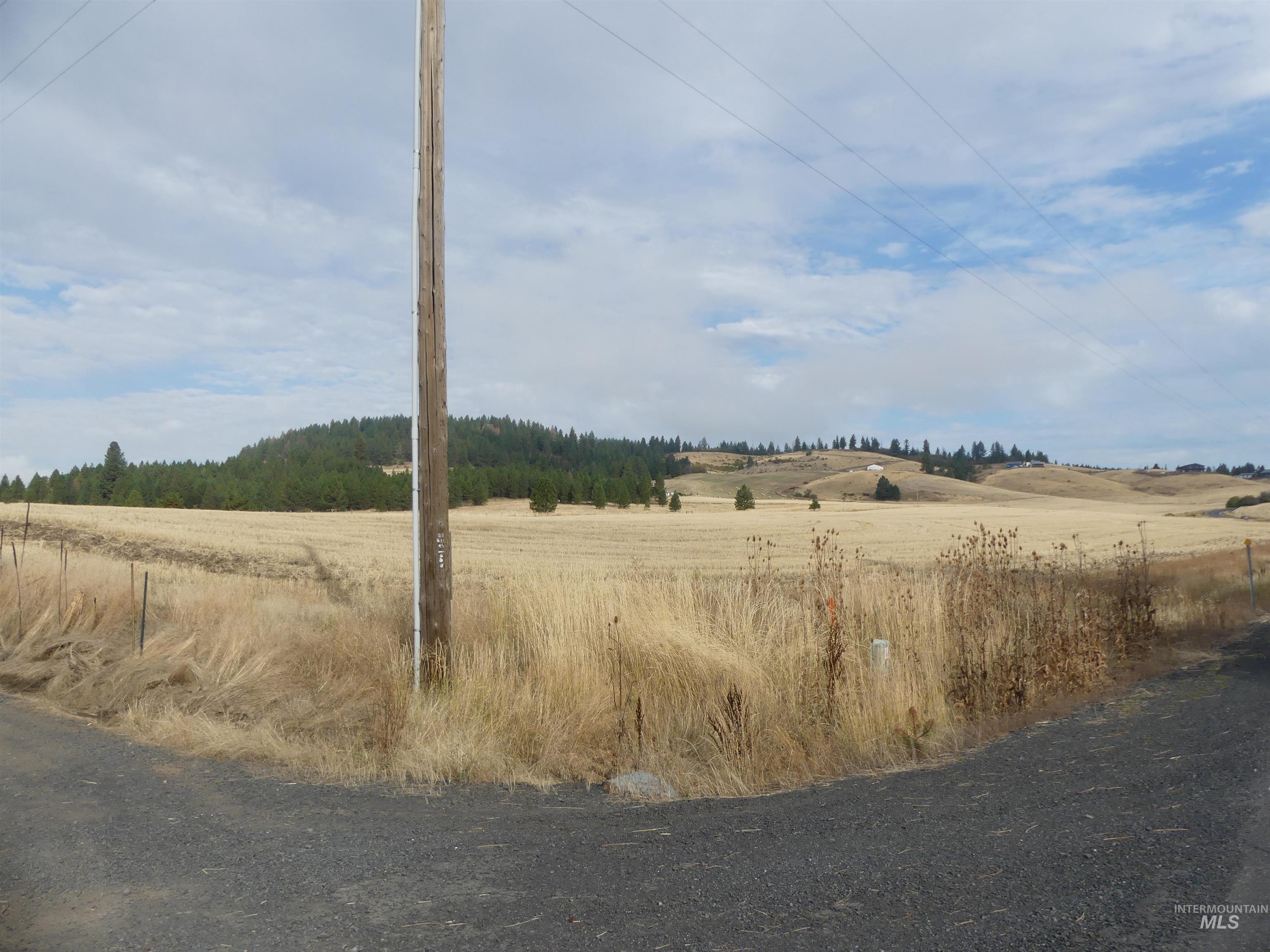 13250 CAVENDISH HWY, Kendrick, Idaho 83537, Land For Sale, Price $249,000, 99001318