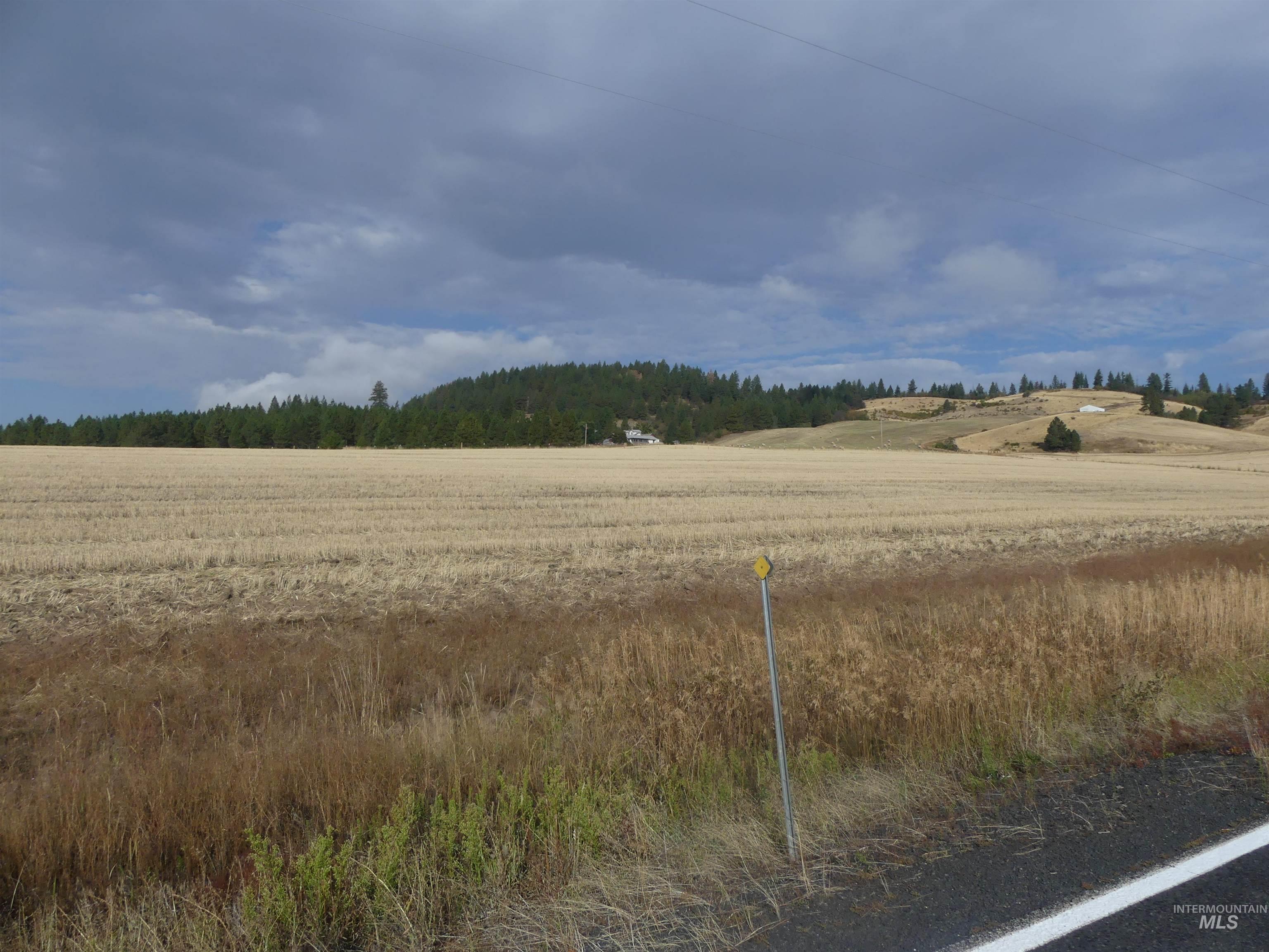 13250 CAVENDISH HWY, Kendrick, Idaho 83537, Land For Sale, Price $249,000, 99001318